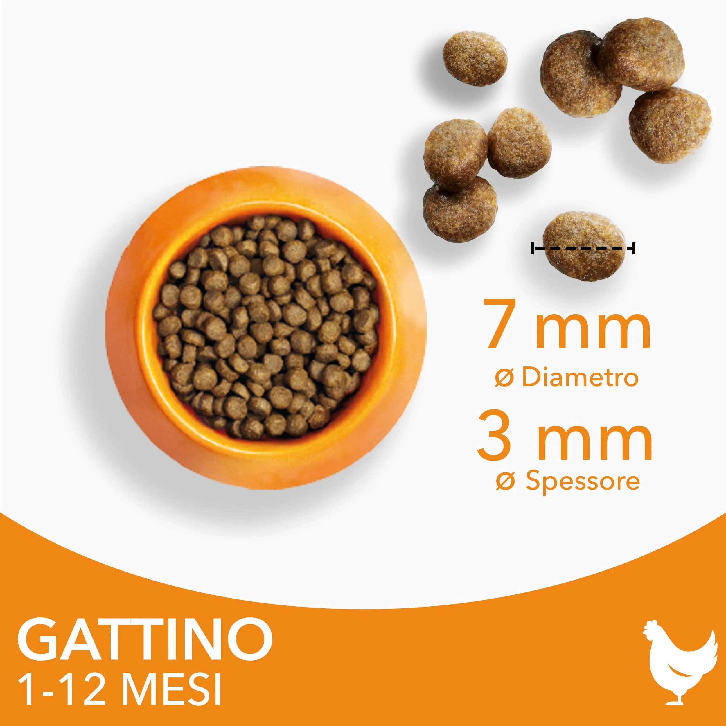 IAMS Cibo secco per gattini 1-12 mesi al pollo, 10 kg - immagine 2