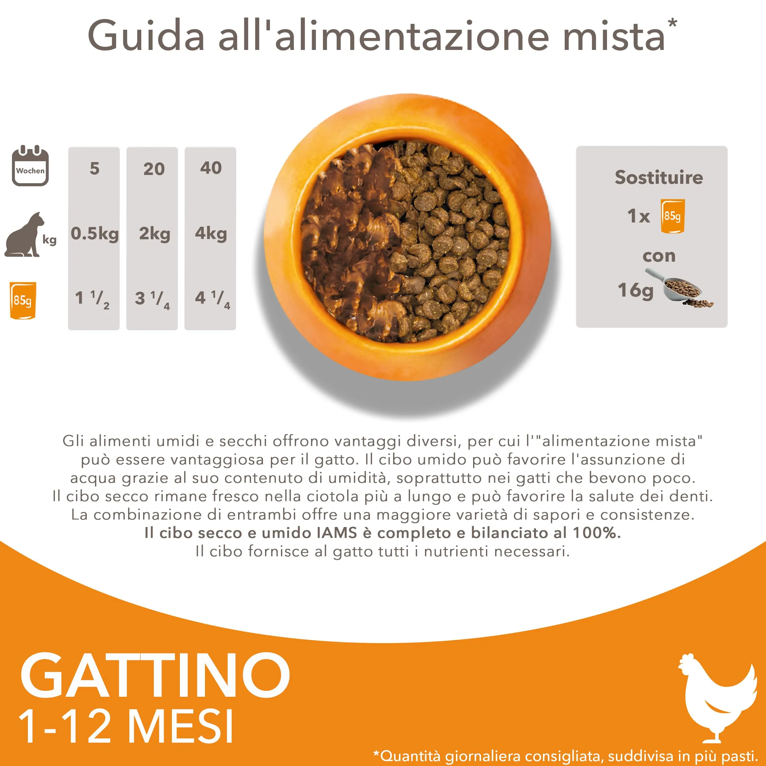 IAMS Cibo secco per gattini 1-12 mesi al pollo, 10 kg - immagine 6