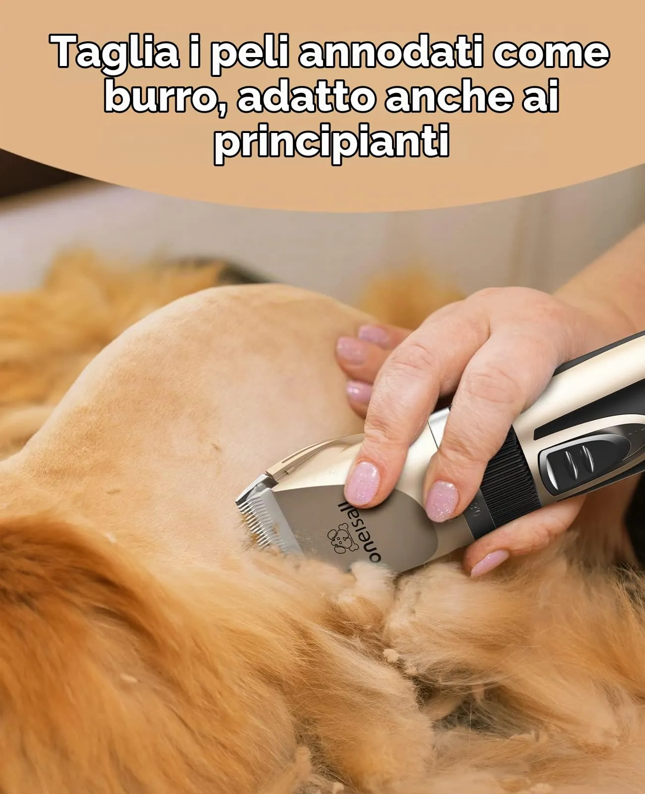 oneisall Kit di Toelettatura per Gatti a Pelo Lungo, Tosatrice Silenziosa a 2 Velocità Cordless per Cani e Animali (Oro) - immagine 3