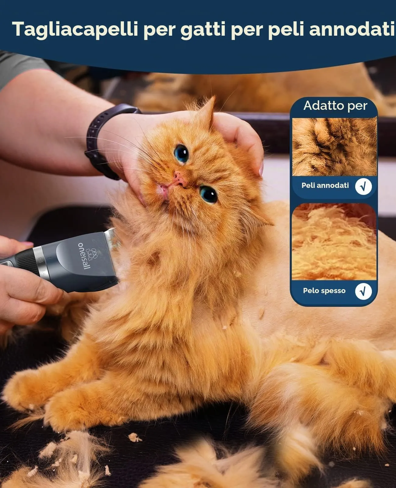 Oneisall Kit di Toelettatura per Gatti e Cani, Tosatrice Cordless Silenziosa a 2 Velocità (Blu) - immagine 4