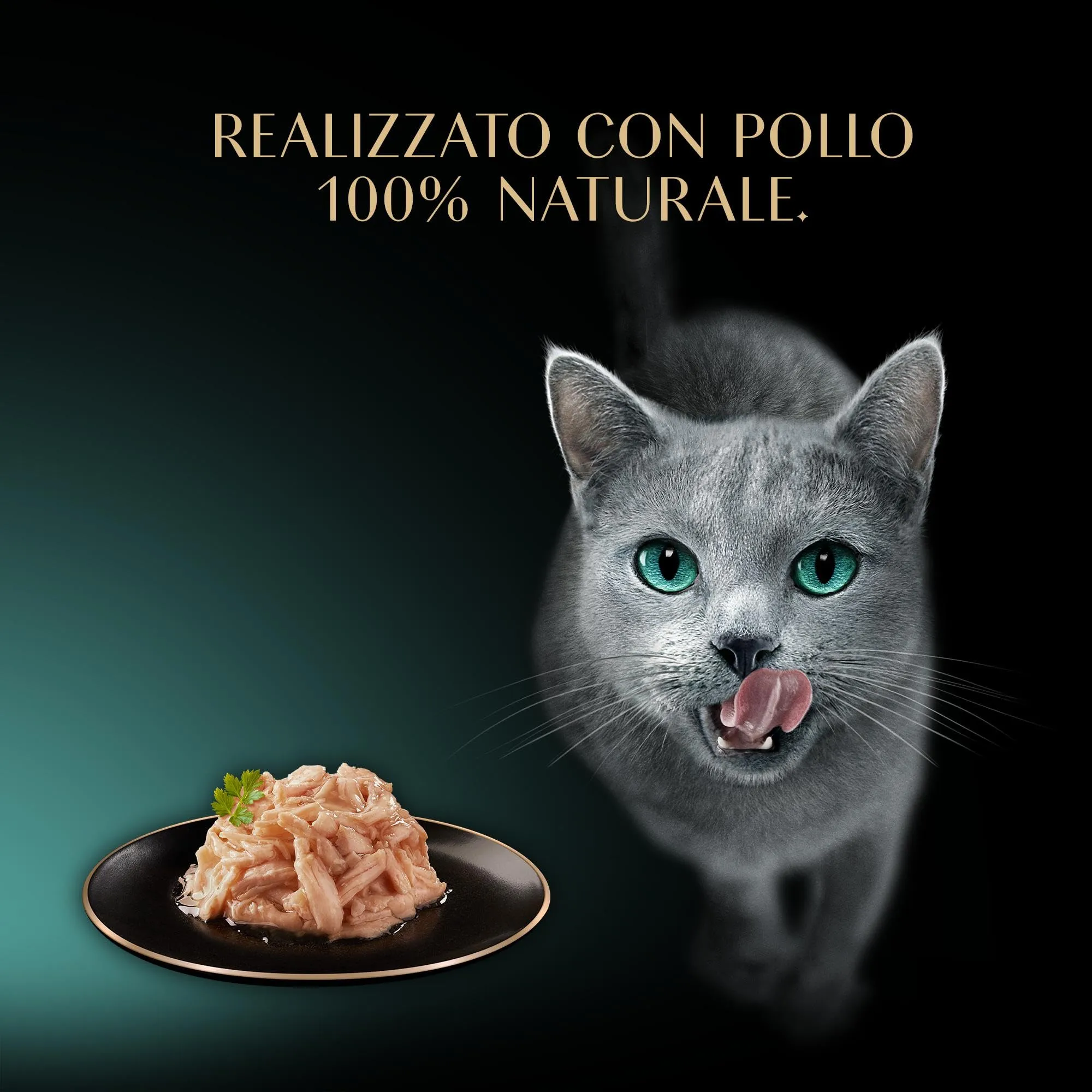 Sheba Filets Cibo Umido per Gatti Adulti con Filetti di Pollo in Salsa, 32 Vaschette da 60 g - immagine 8