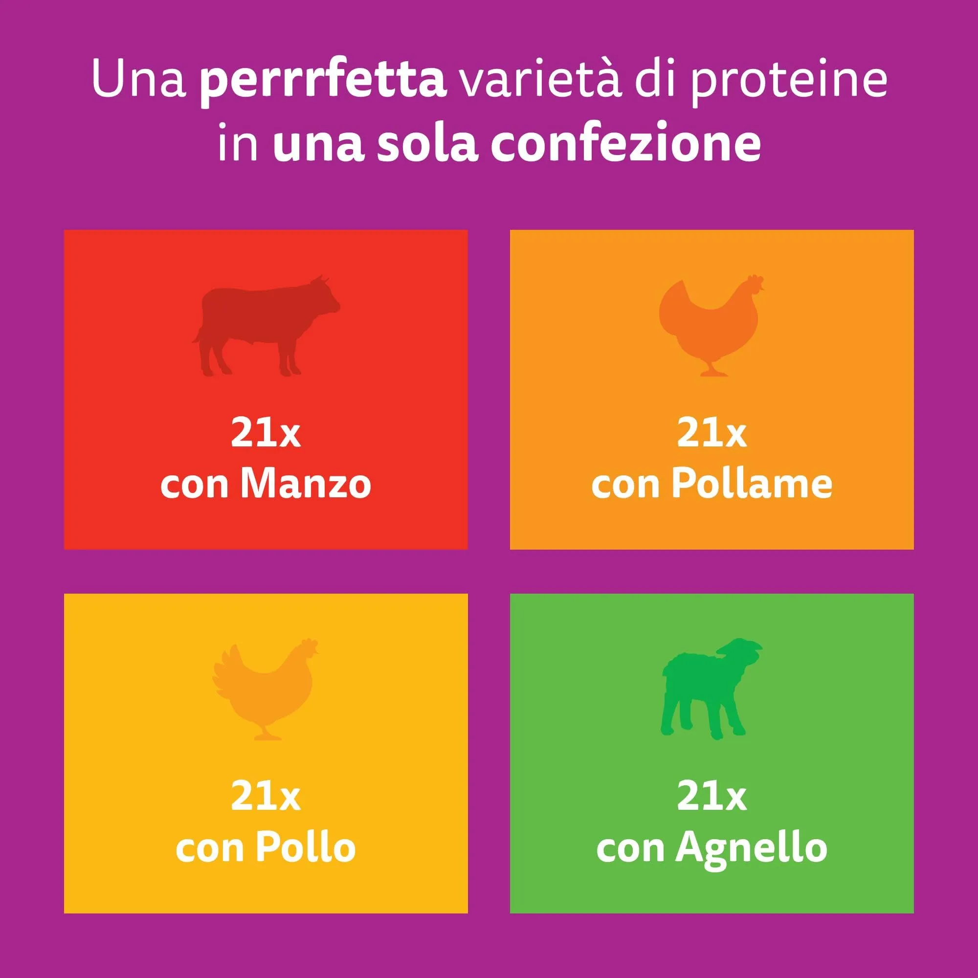 Whiskas Junior Cibo Umido per Gattini in Salsa, Selezione Gustosa, 84x85g - immagine 8