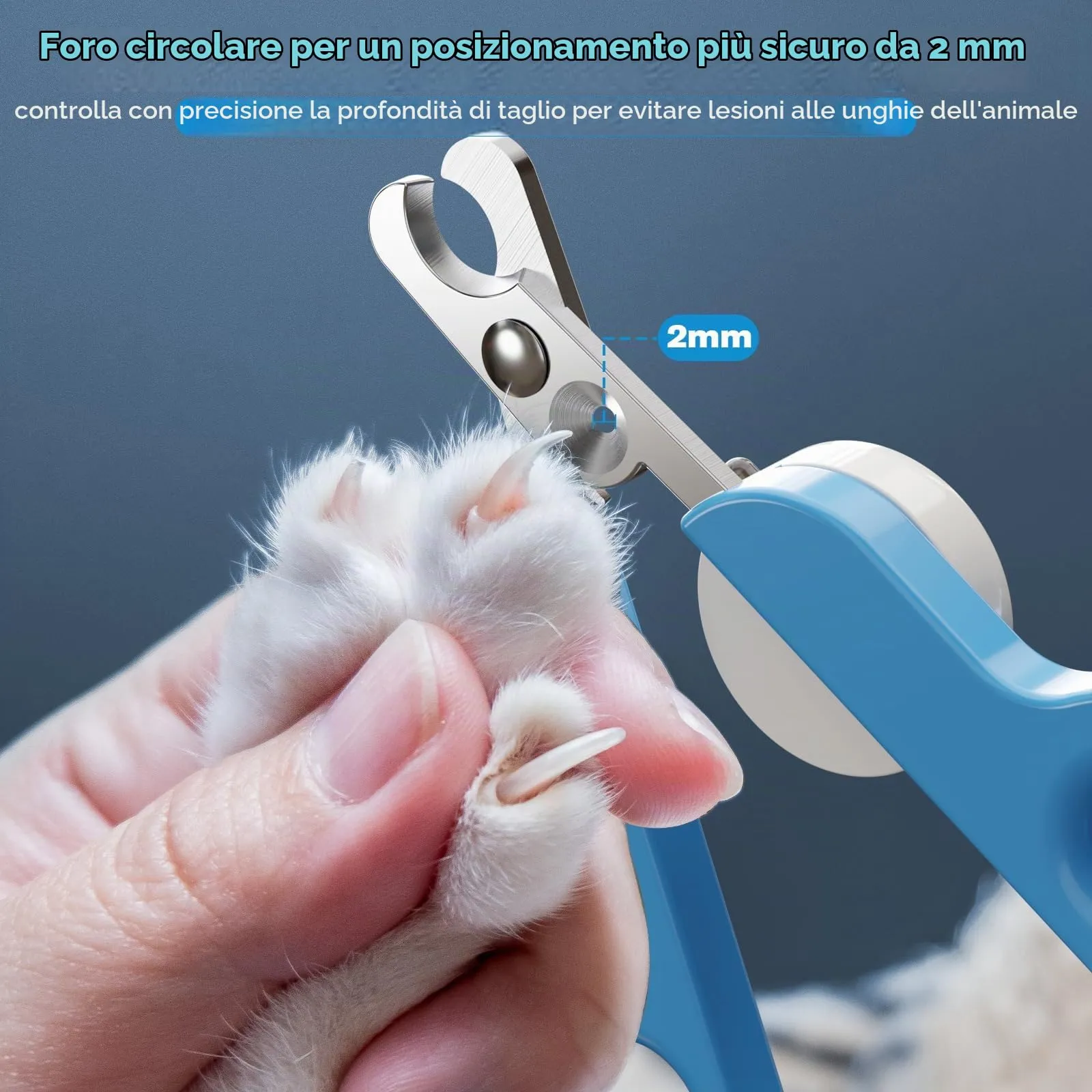 Euqvunn Tagliaunghie Professionale per Gatto, Doppia Lama con Illuminazione LED Rimovibile per Animali Piccoli e Medi (Blu Bianco) - immagine 5