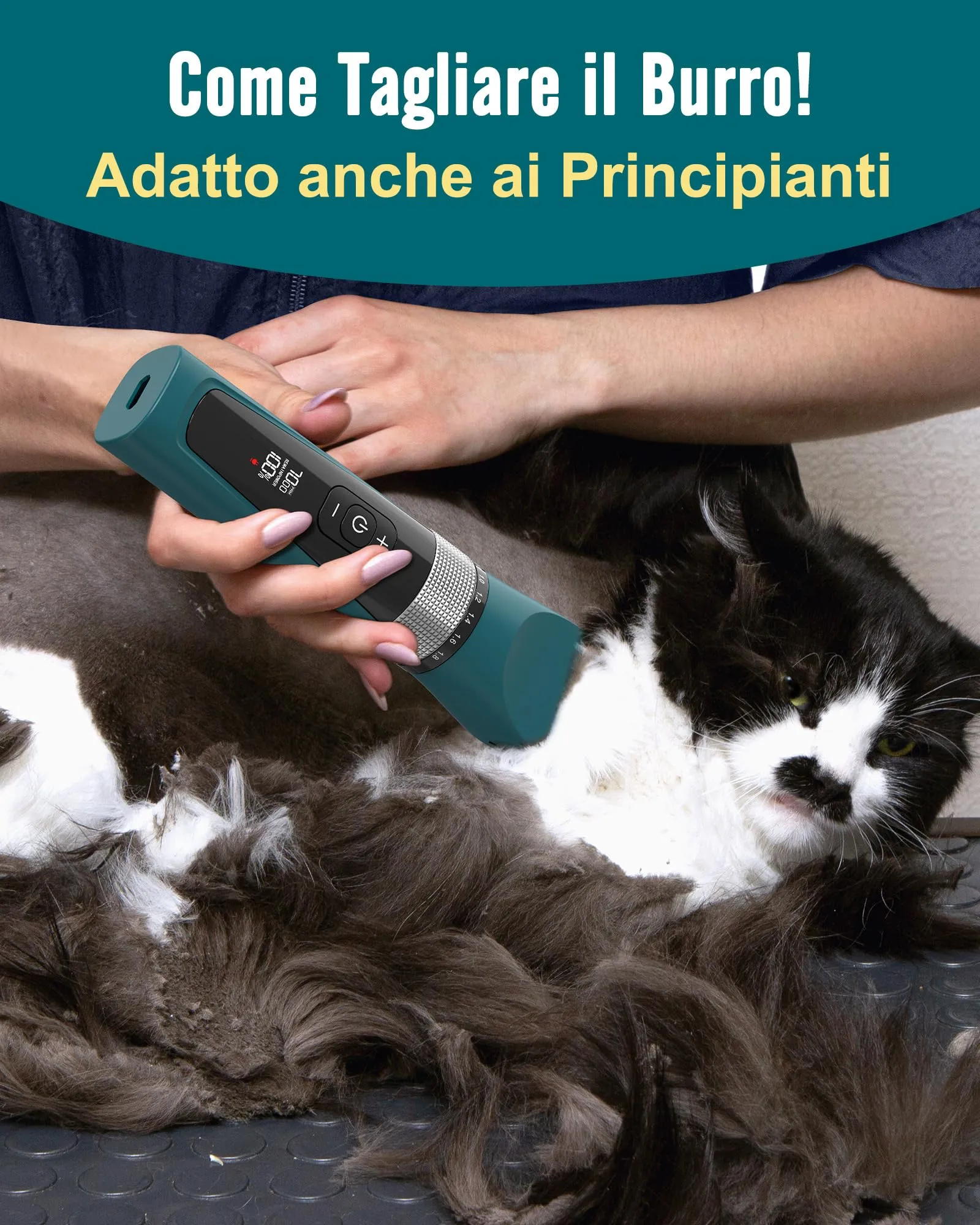 oneisall Tagliacapelli Professionale per Gatti, 5 Velocità, Display LCD, Impermeabile IPX6, Verde - immagine 3