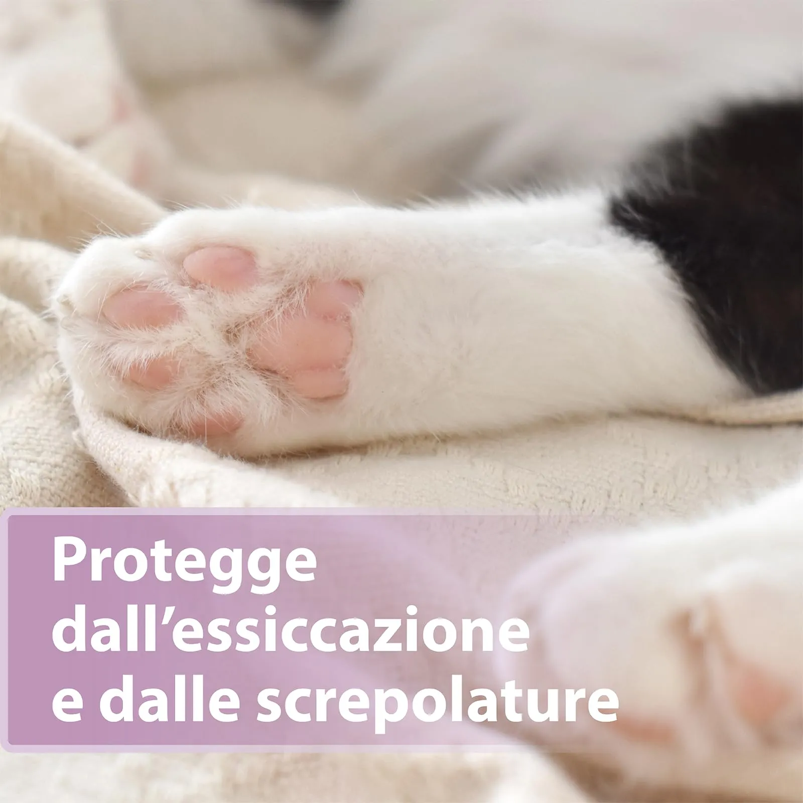 Felisept Cura delle zampe per gatti 75g - immagine 2