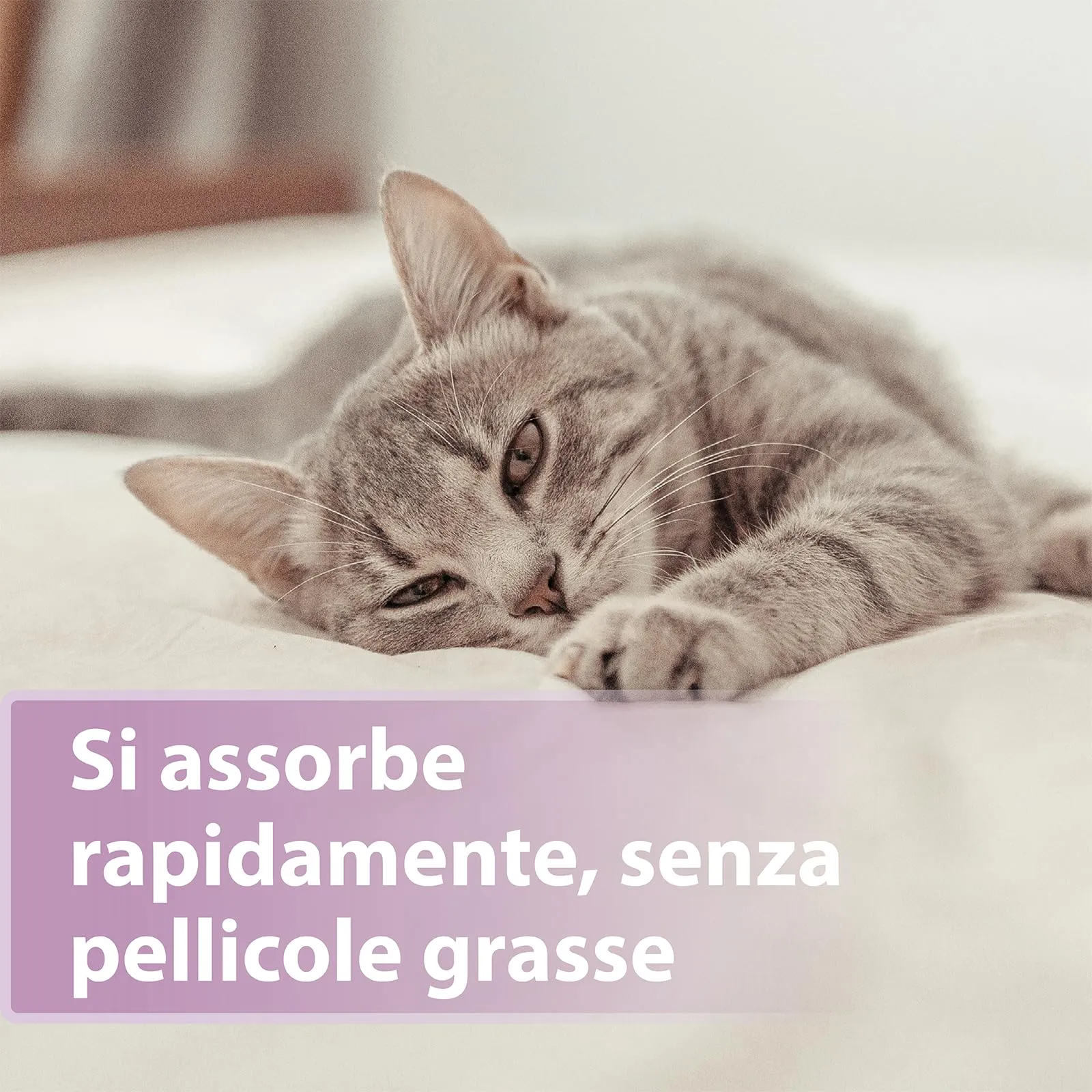 Felisept Cura delle zampe per gatti 75g - immagine 3