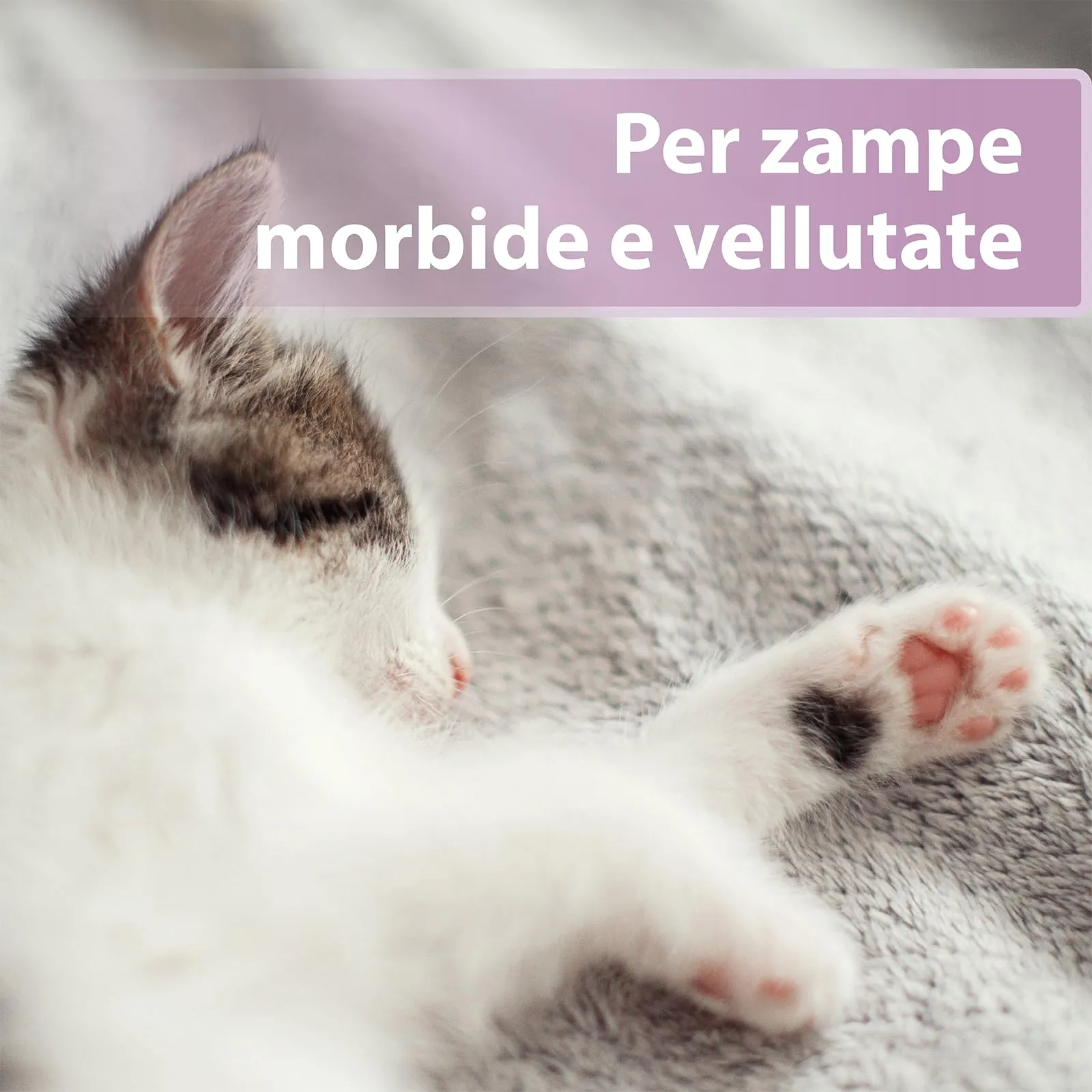 Felisept Cura delle zampe per gatti 75g - immagine 5