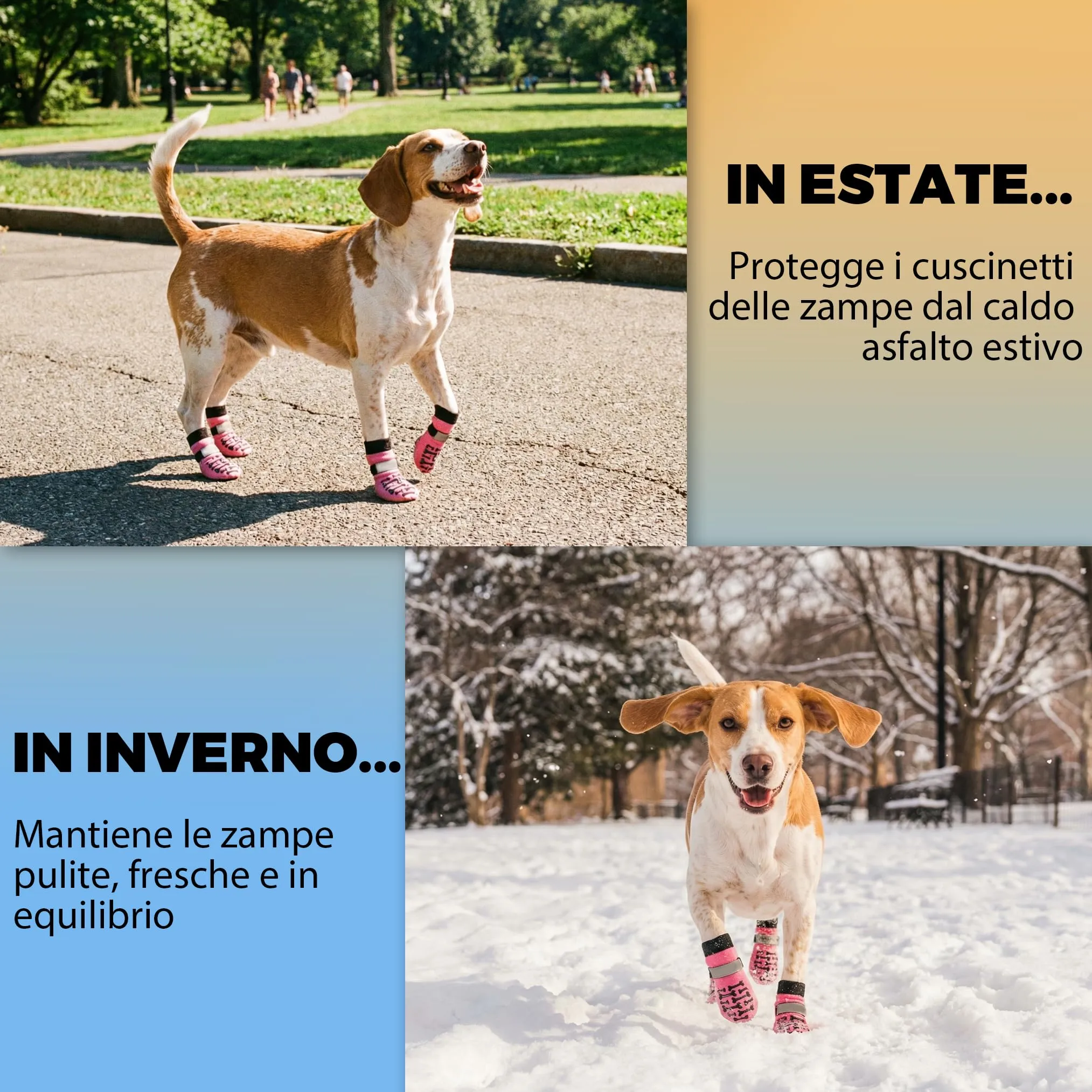 Fantasreen Calzini Antiscivolo per Cani con Osso, 6 Pezzi, Rosa, S - immagine 7