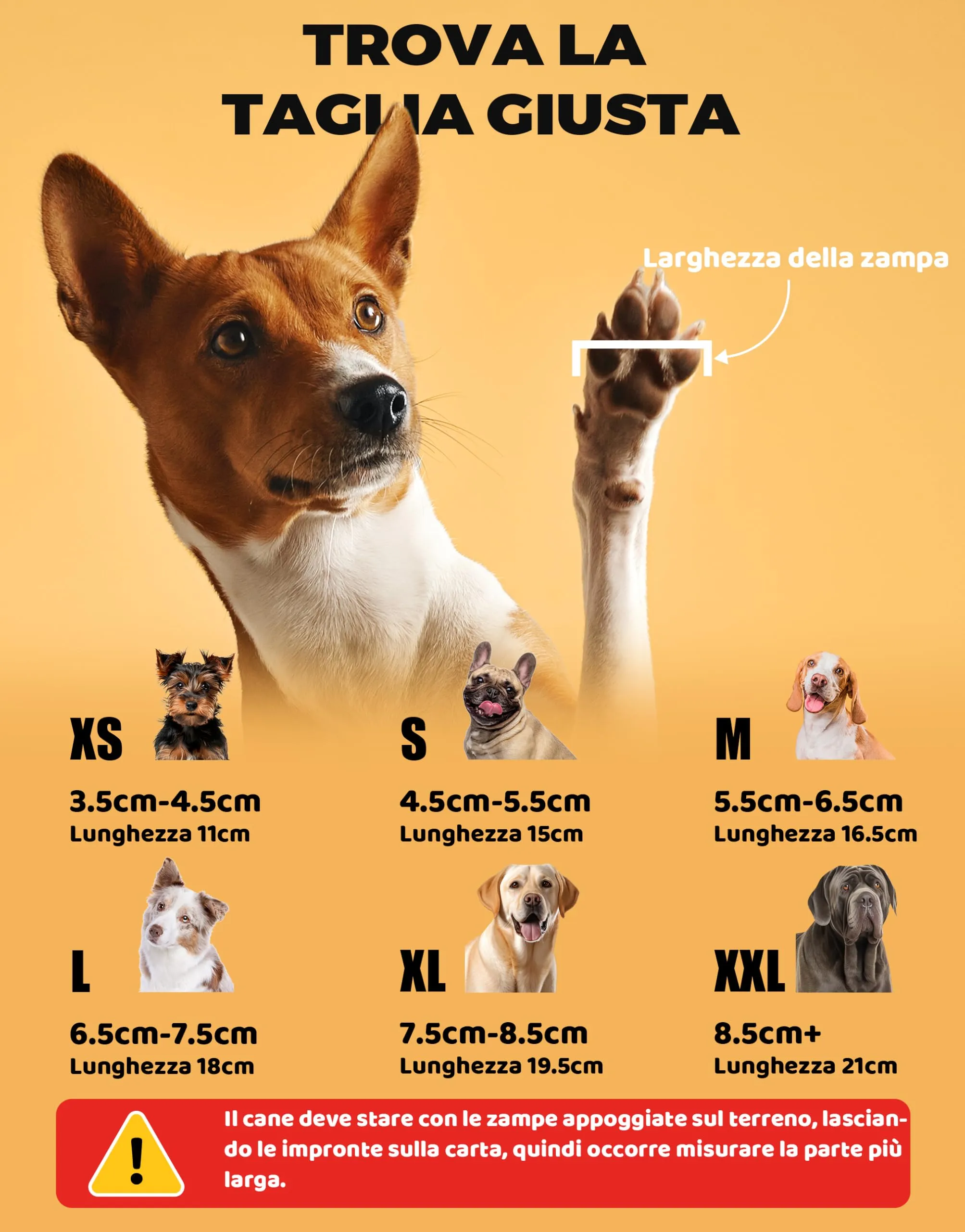 Fantasreen Calzini Antiscivolo per Cani con Osso, 6 Pezzi, Rosa, M - immagine 6