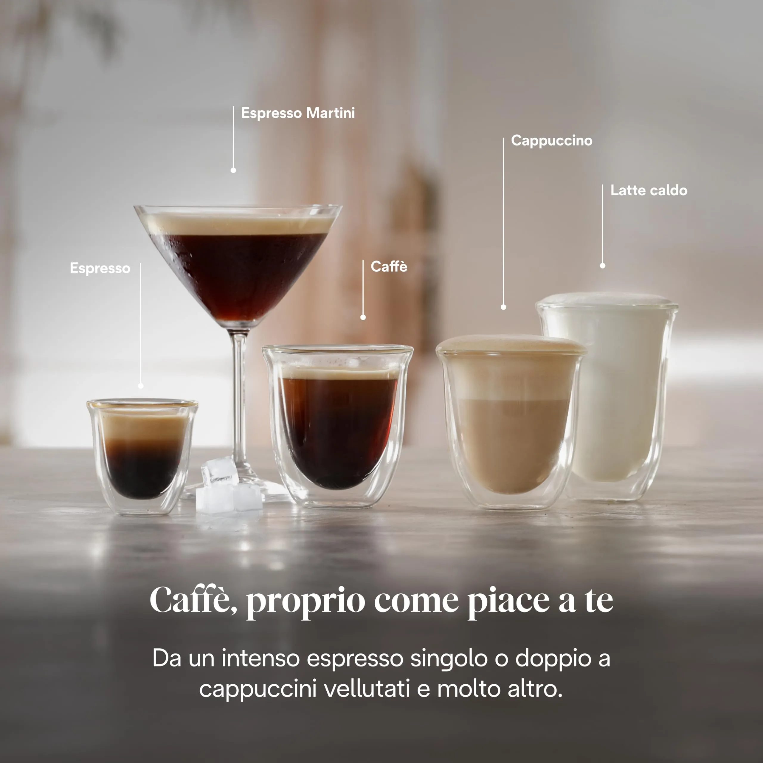 De'Longhi Classic Macchina da Caffè Espresso Montalatte Manuale Grigio EM352.G - immagine 3