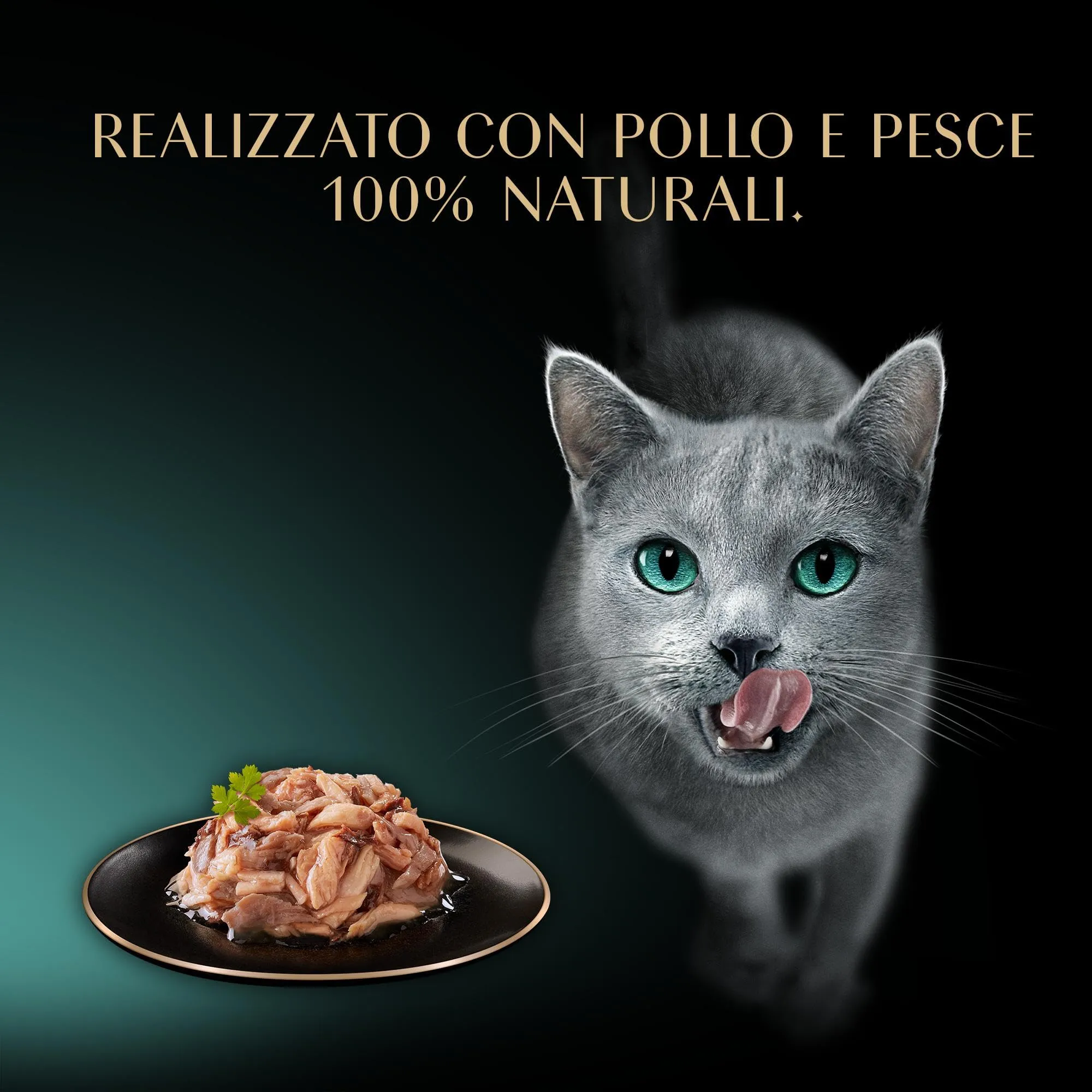 Sheba Filets Pollo & Tonno in salsa, 32 Vaschette da 60g - immagine 8