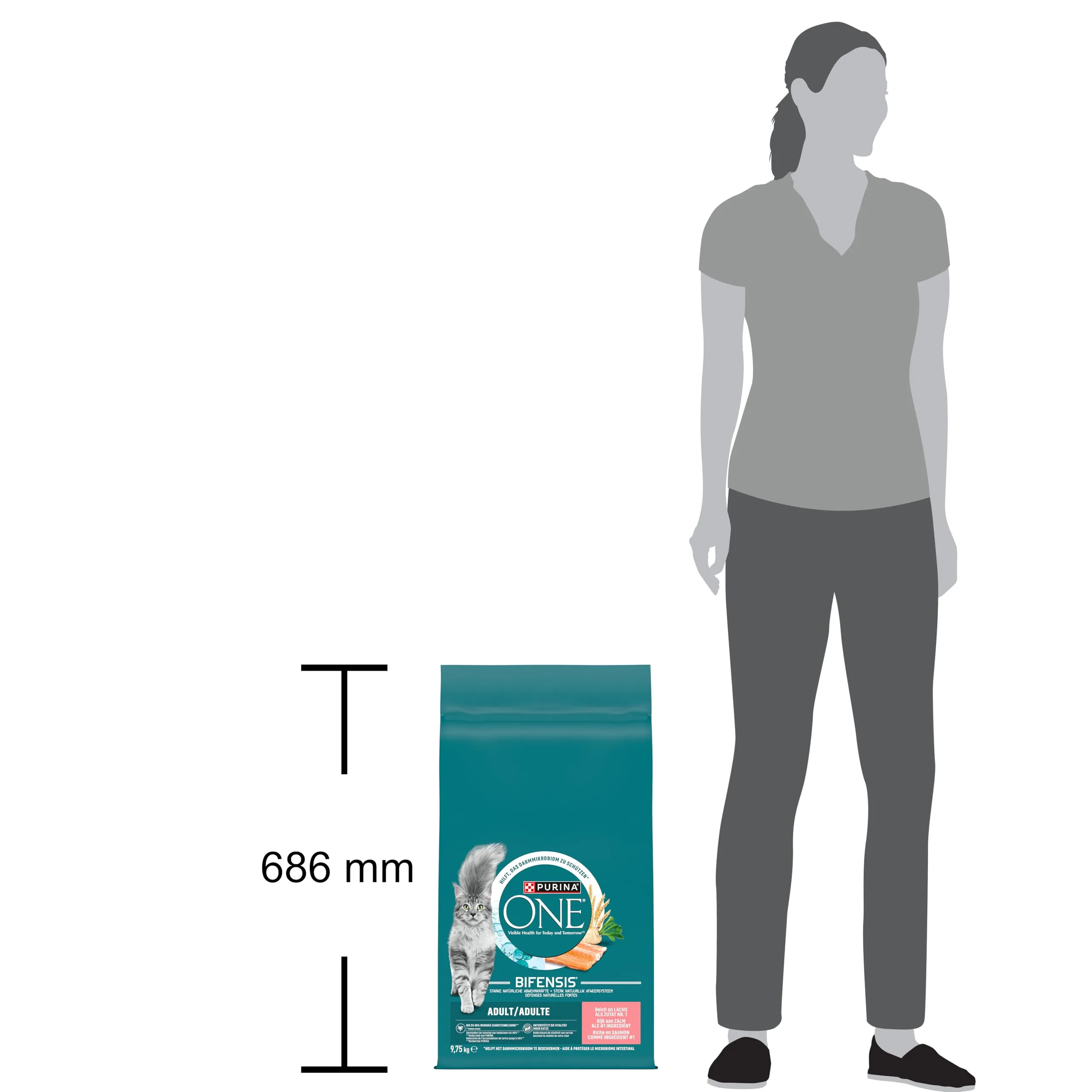 Purina One Bifensis Crocchette Gatto Adulto Salmone e Cereali Integrali, 9.75 kg - immagine 3