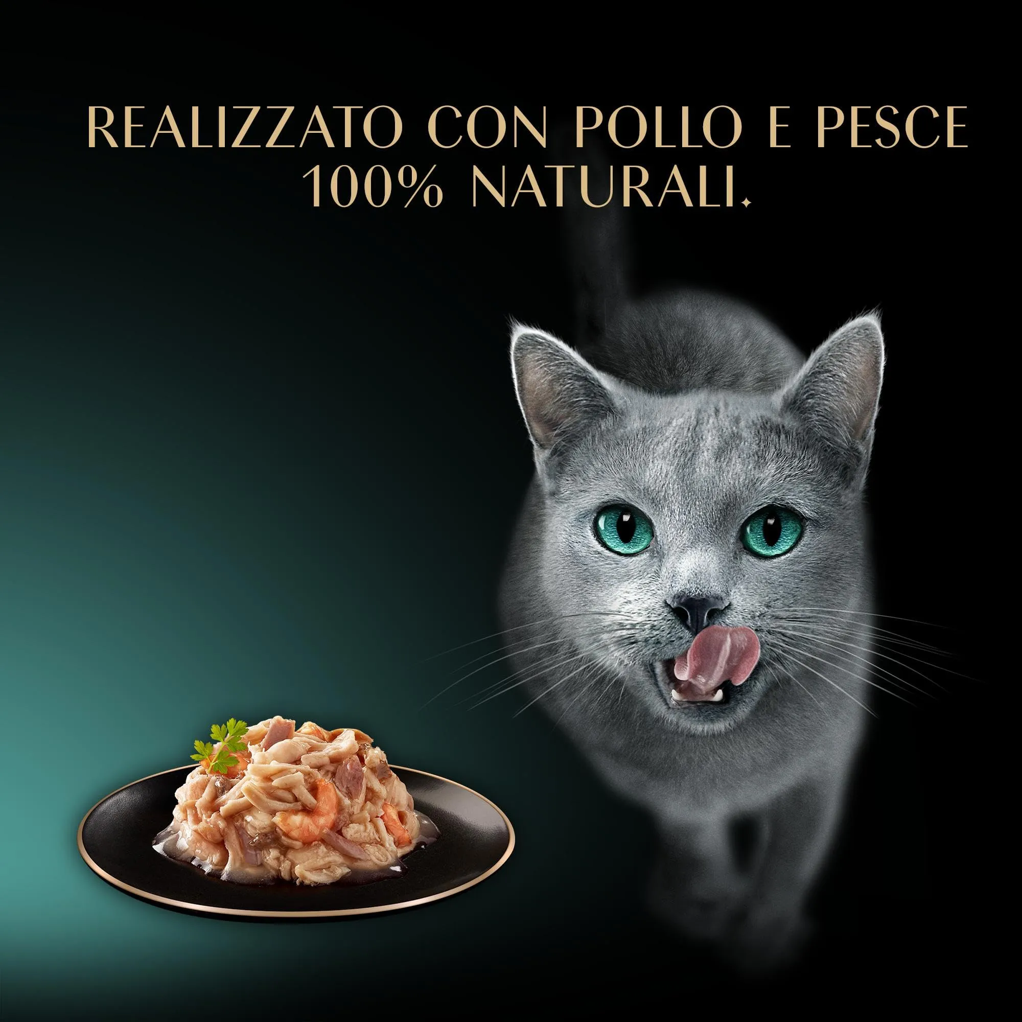 Sheba Filets Cibo Umido per Gatti Adulti Pollo, Pesce Oceano e Gamberetti in Salsa, 32 Vaschette da 60 g - immagine 8