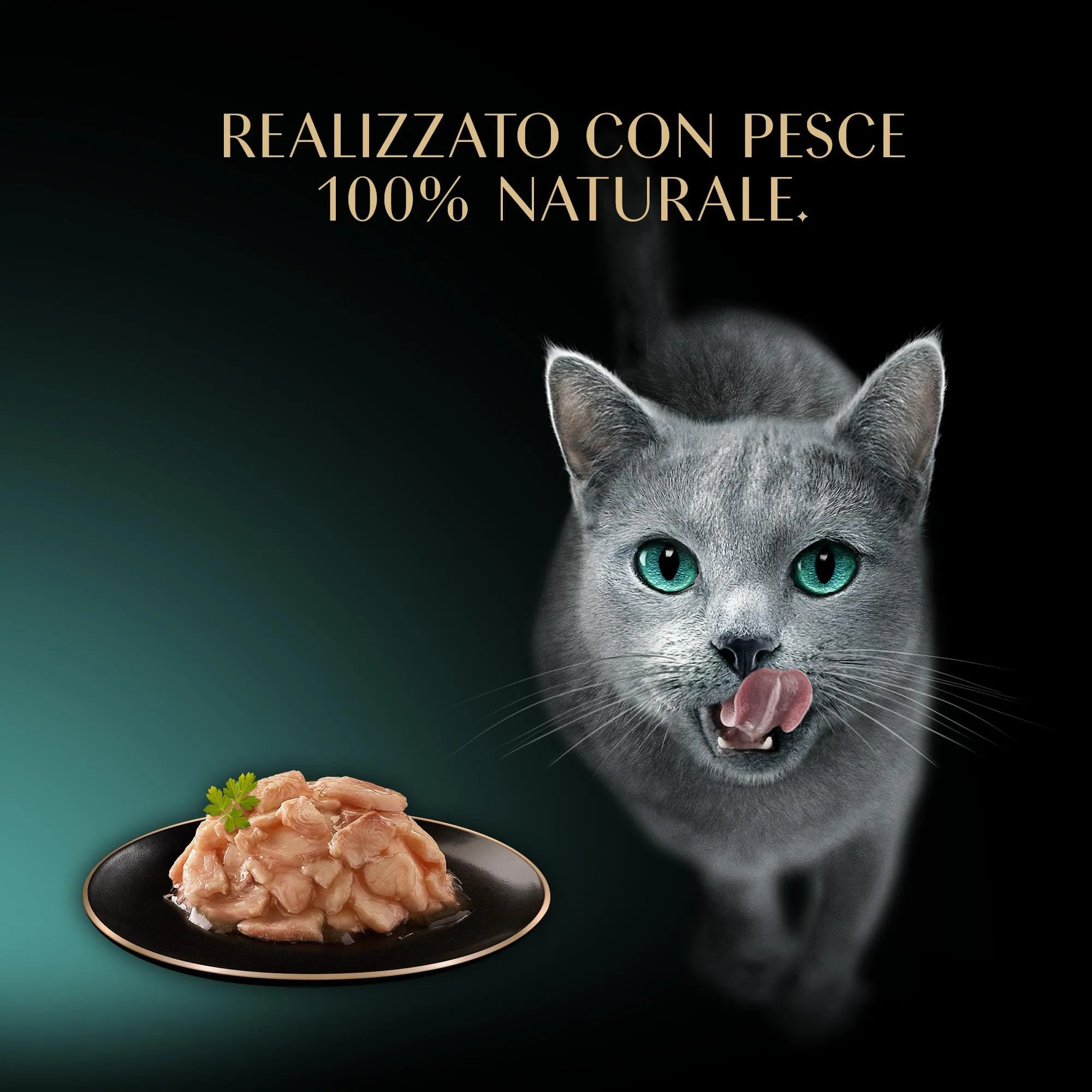 Sheba Filets Pesce Bianco in salsa, 32 Vaschette da 60g - immagine 8