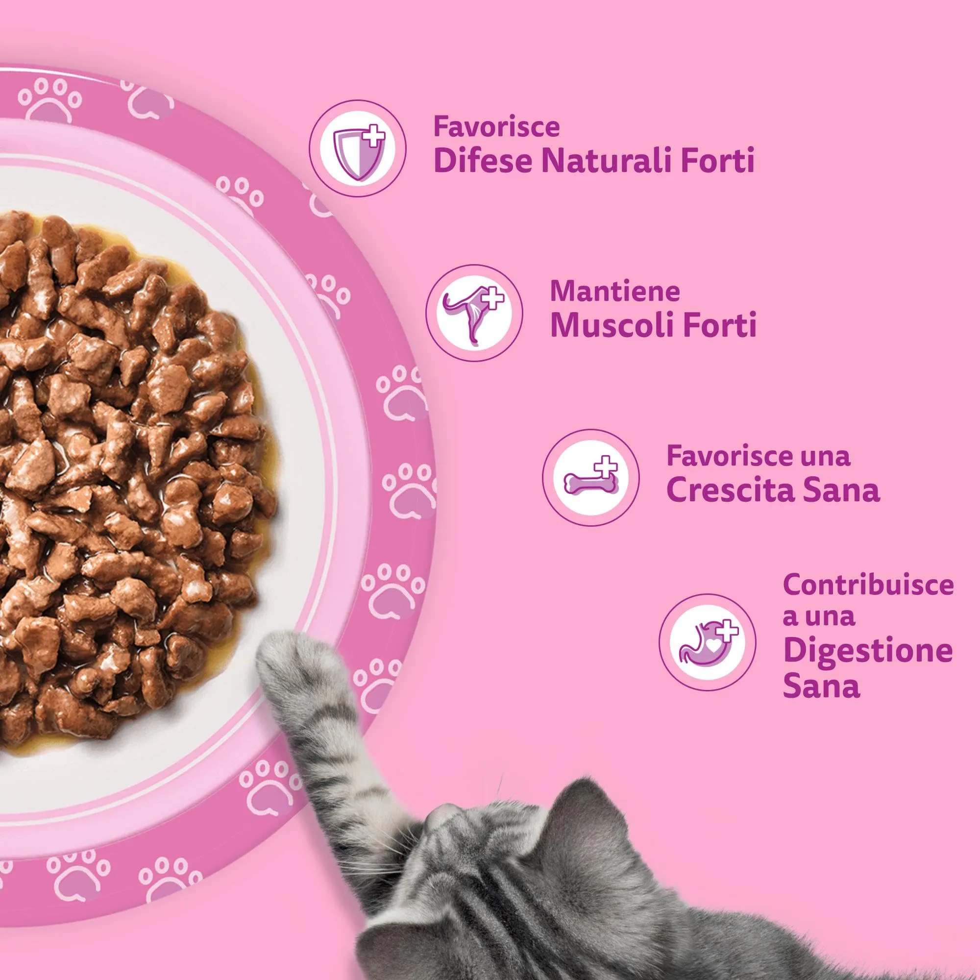 Whiskas Junior Cibo Umido per Gattini in Salsa Selezione Gustosa 85g (Pack of 52) - immagine 5