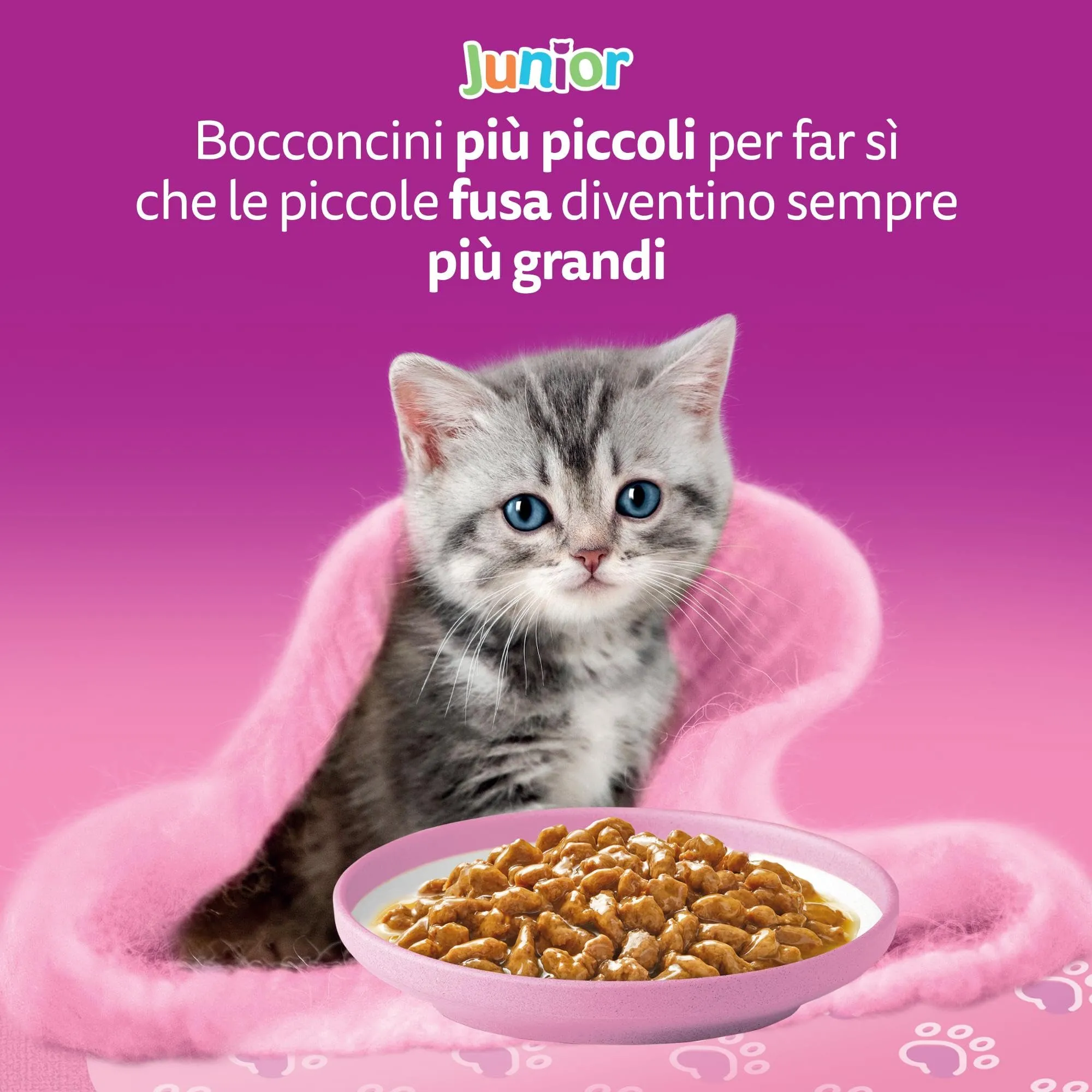 Whiskas Junior Cibo Umido per Gattini in Salsa Selezione Gustosa 85g (Pack of 52) - immagine 7