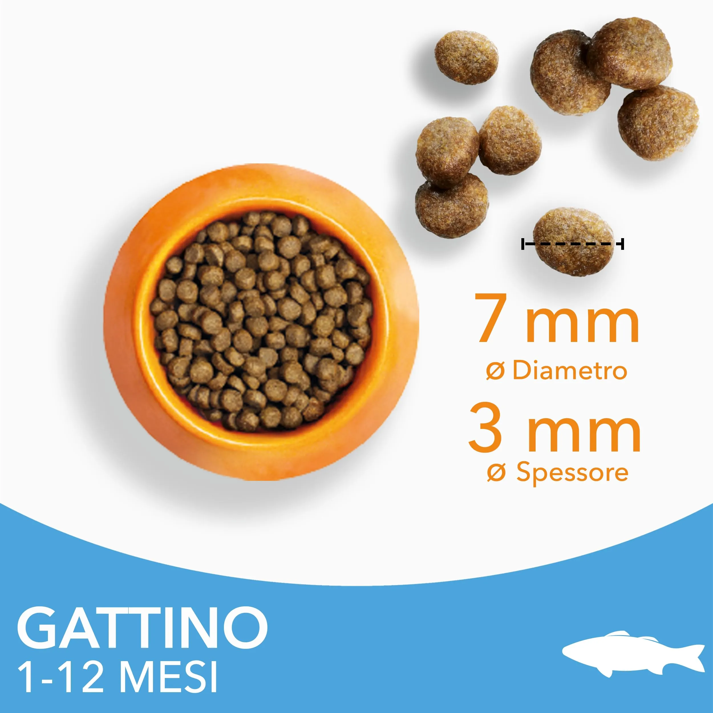 IAMS Cibo secco per gattini 1-12 mesi, Pesce Oceanico, 3 kg - immagine 2