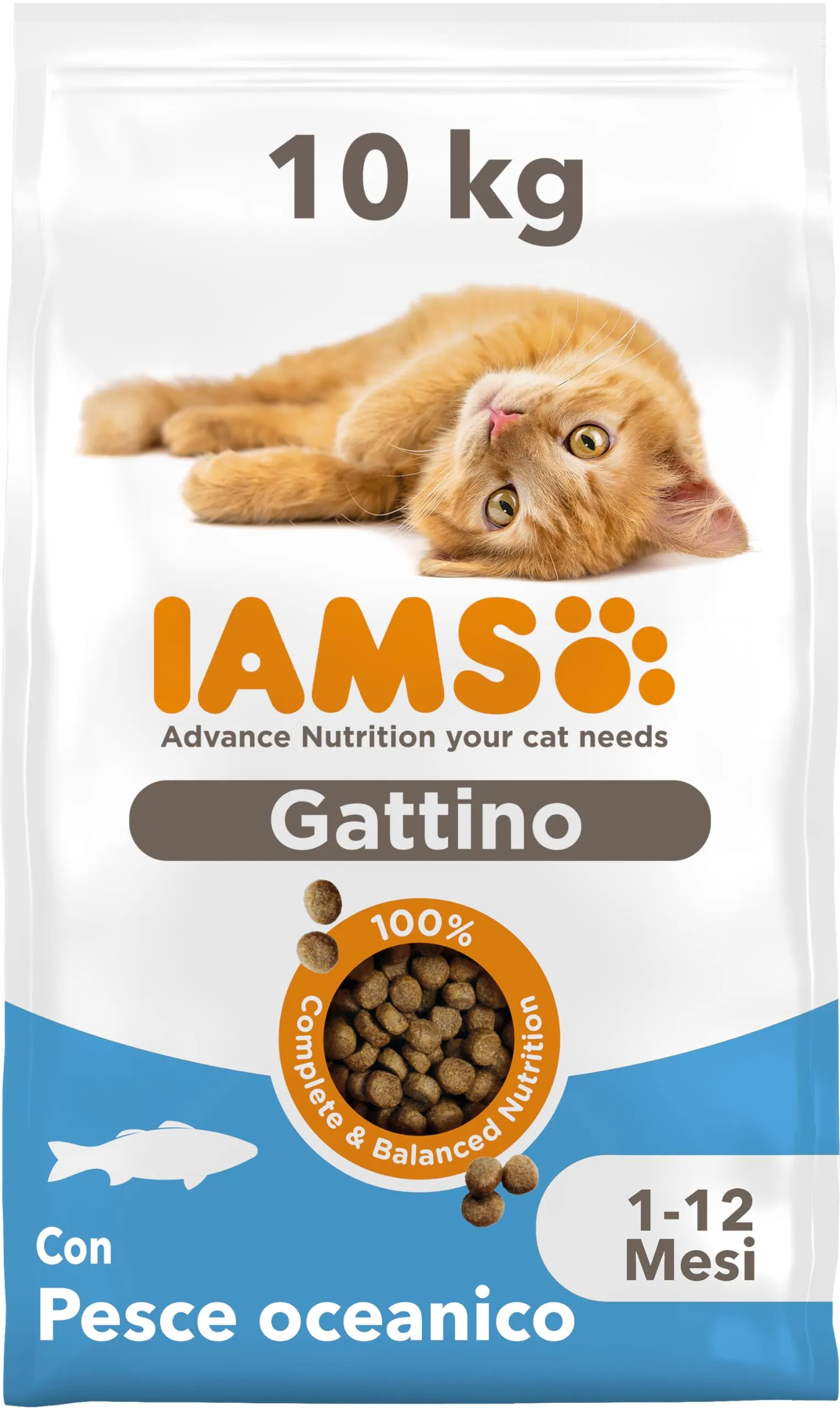 IAMS Cibo secco per gattini 1-12 mesi pesce oceanico, 10 kg - immagine 1