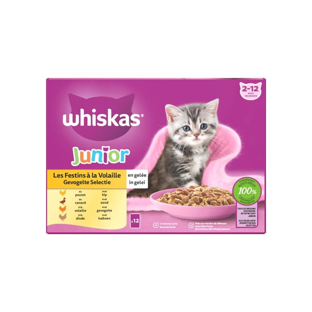 Whiskas Junior Cibo Bagnato per Gattini in Gelatina, 4 Varietà, 48 Bustine da 85 g - immagine 1