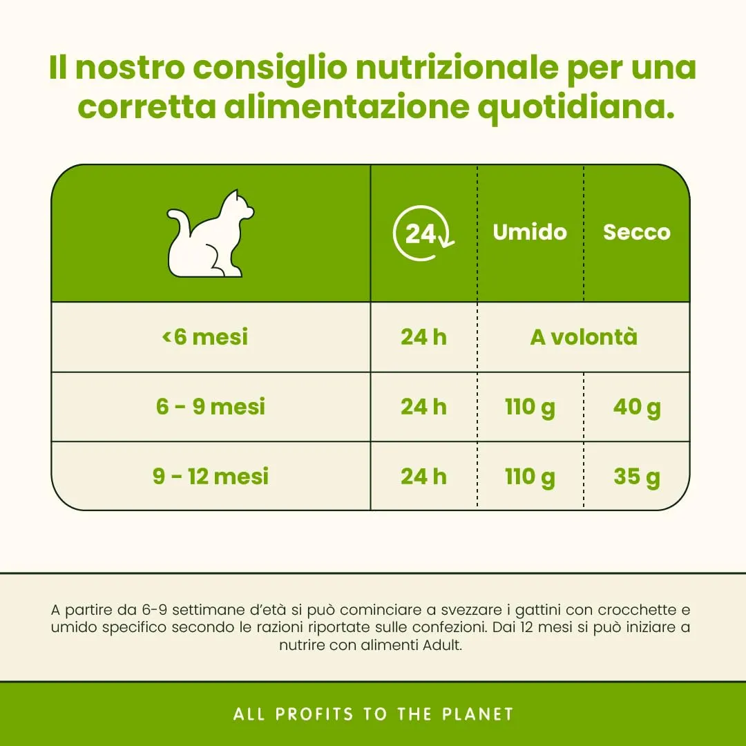 Almo Nature Daily Kitten Mousse Pollo, 85 g, Confezione da 24 - immagine 3