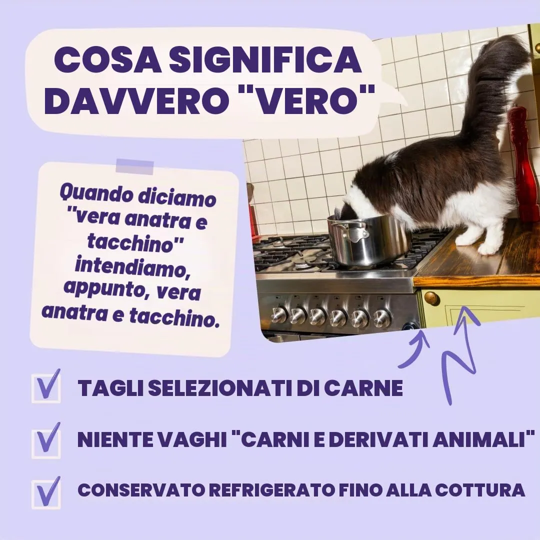 Edgard & Cooper Cibo Umido Gatti, Anatra e Tacchino in salsa, Ricetta Ipoallergenica per Gatti Sterilizzati (12x85g) - immagine 5