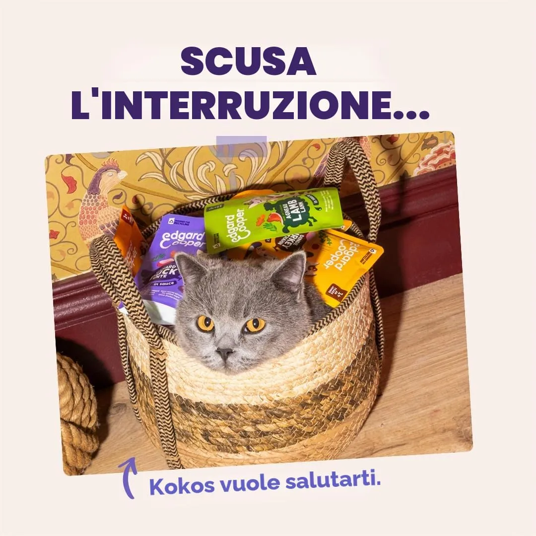 Edgard & Cooper Cibo Umido Gatti, Anatra e Tacchino in salsa, Ricetta Ipoallergenica per Gatti Sterilizzati (12x85g) - immagine 8