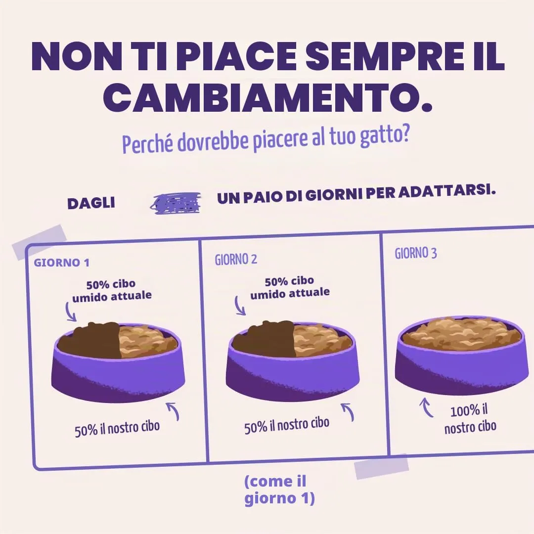 Edgard & Cooper Cibo Umido Gatti, Anatra e Tacchino in salsa, Ricetta Ipoallergenica per Gatti Sterilizzati (12x85g) - immagine 9
