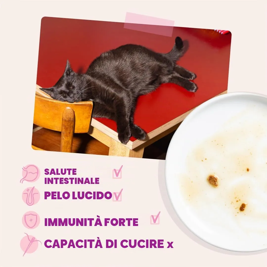 Edgard & Cooper Cibo Umido per Gattini, Anatra e Pollo in salsa, 12x85g - immagine 4