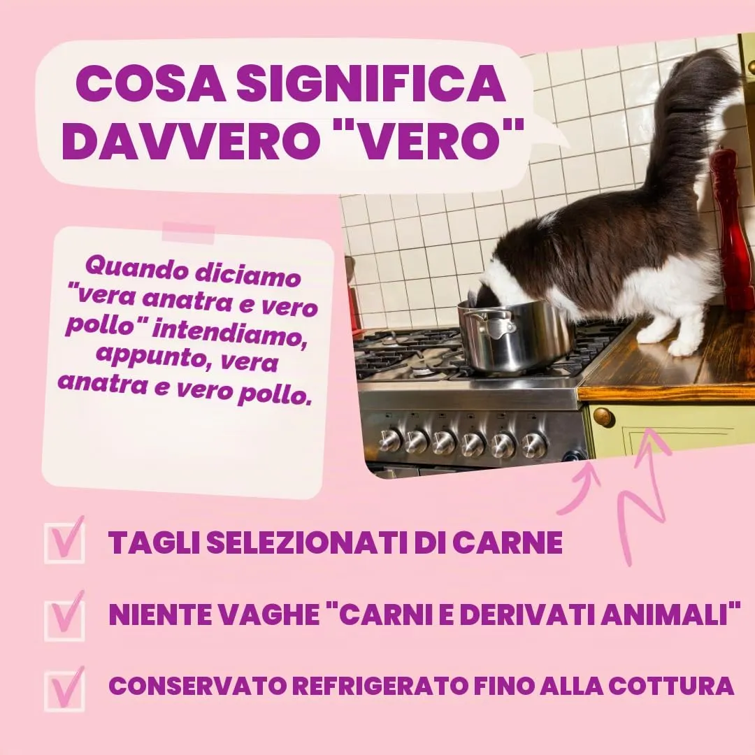 Edgard & Cooper Cibo Umido per Gattini, Anatra e Pollo in salsa, 12x85g - immagine 5
