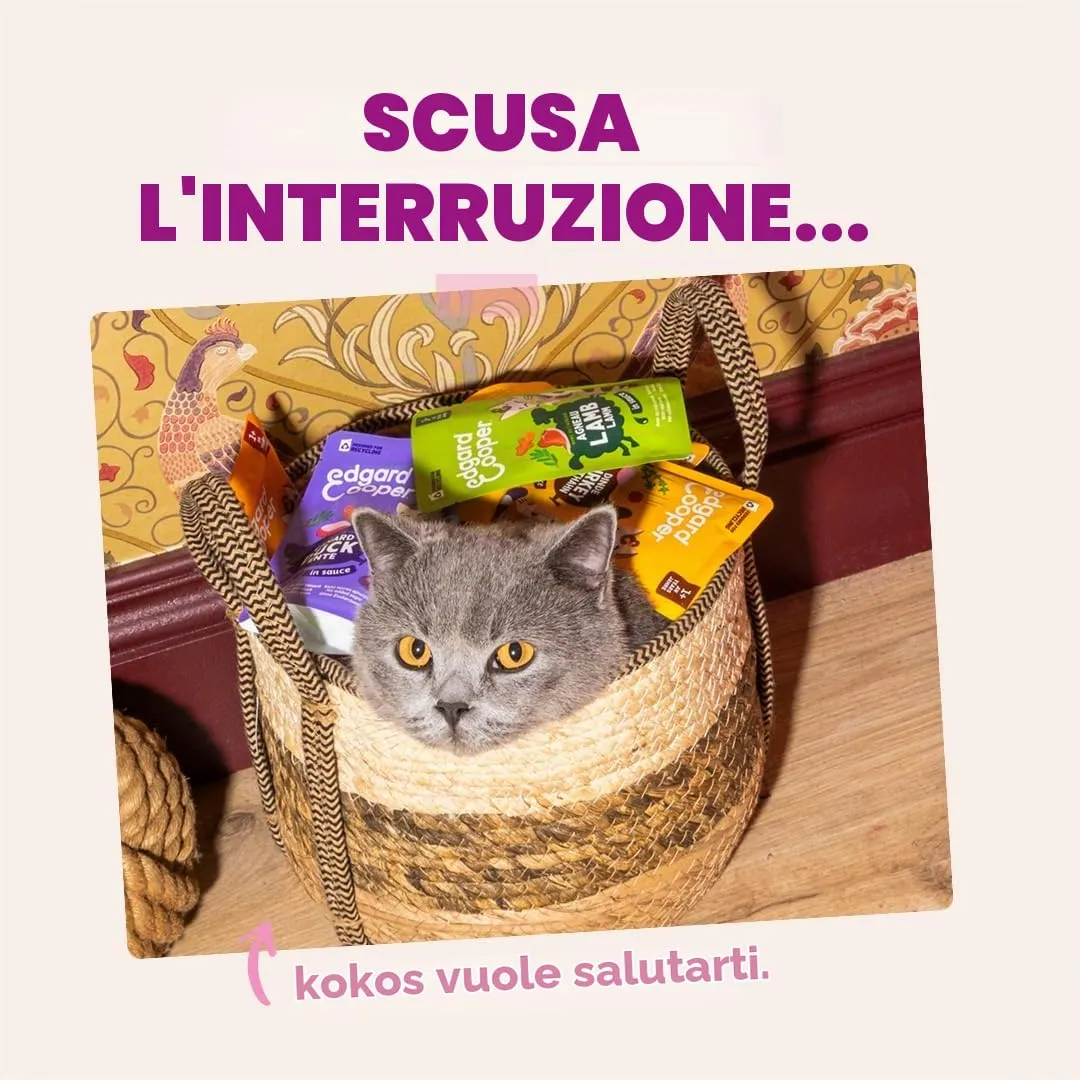 Edgard & Cooper Cibo Umido per Gattini, Anatra e Pollo in salsa, 12x85g - immagine 8