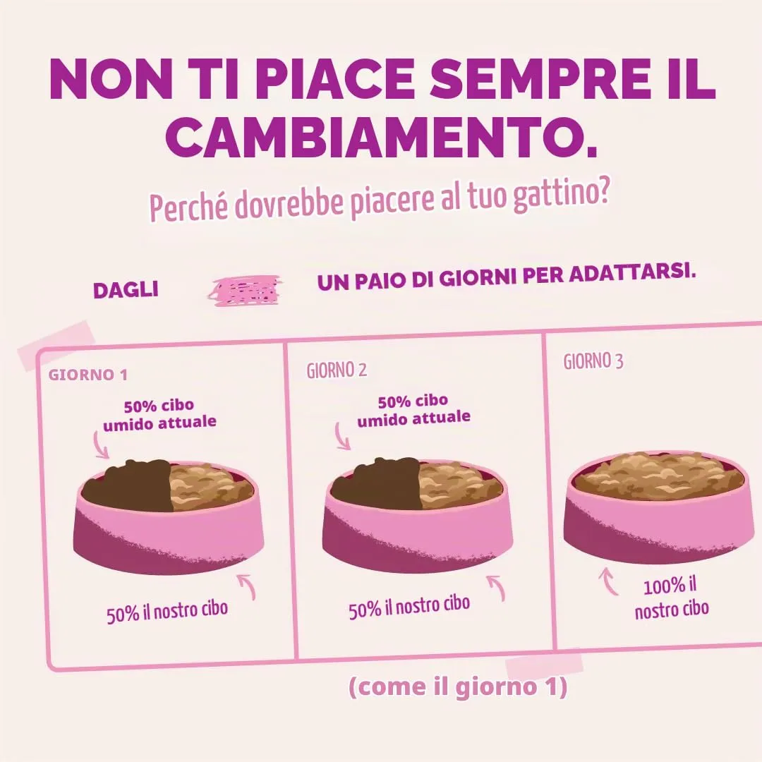 Edgard & Cooper Cibo Umido per Gattini, Anatra e Pollo in salsa, 12x85g - immagine 9