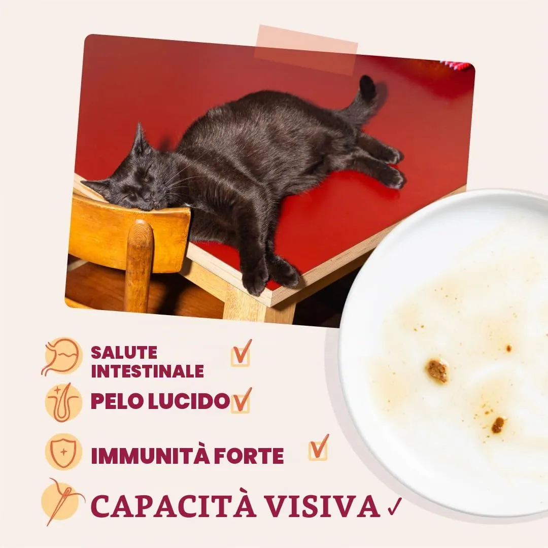 Edgard & Cooper Cibo Umido per Gatti, Pollo in salsa, Senza Cereali (12x 85g) - immagine 4