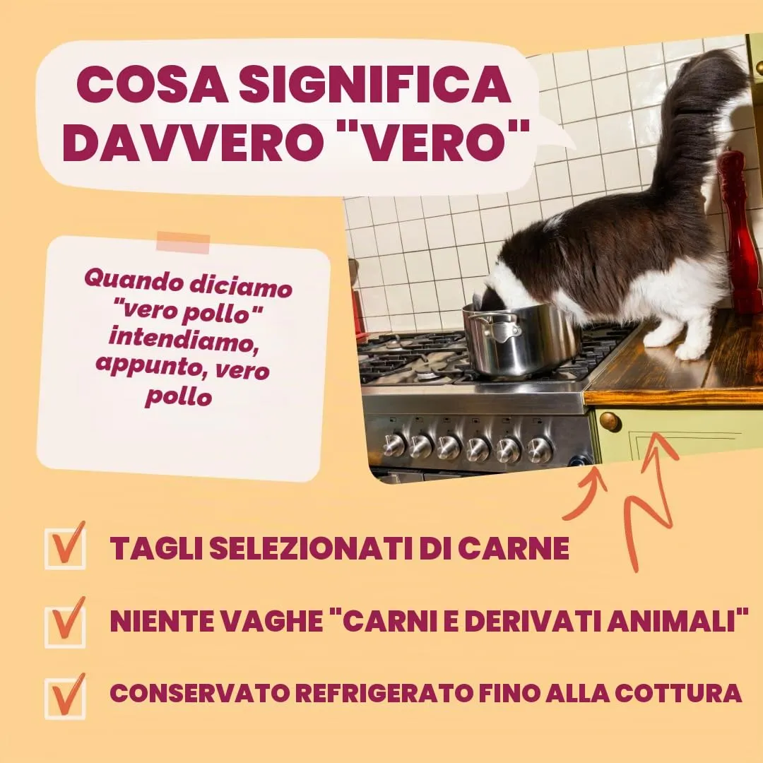 Edgard & Cooper Cibo Umido per Gatti, Pollo in salsa, Senza Cereali (12x 85g) - immagine 5