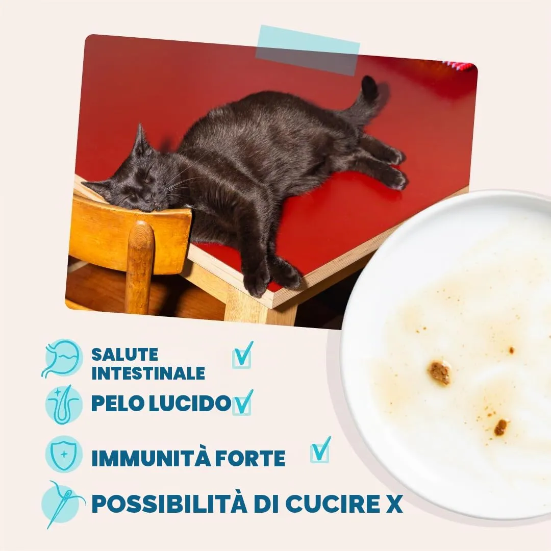 Edgard & Cooper Cibo Umido per Gatti, Tonno e Pollo in salsa, Senza Cereali, per Gatti Sterilizzati (12 x 85g) - immagine 4