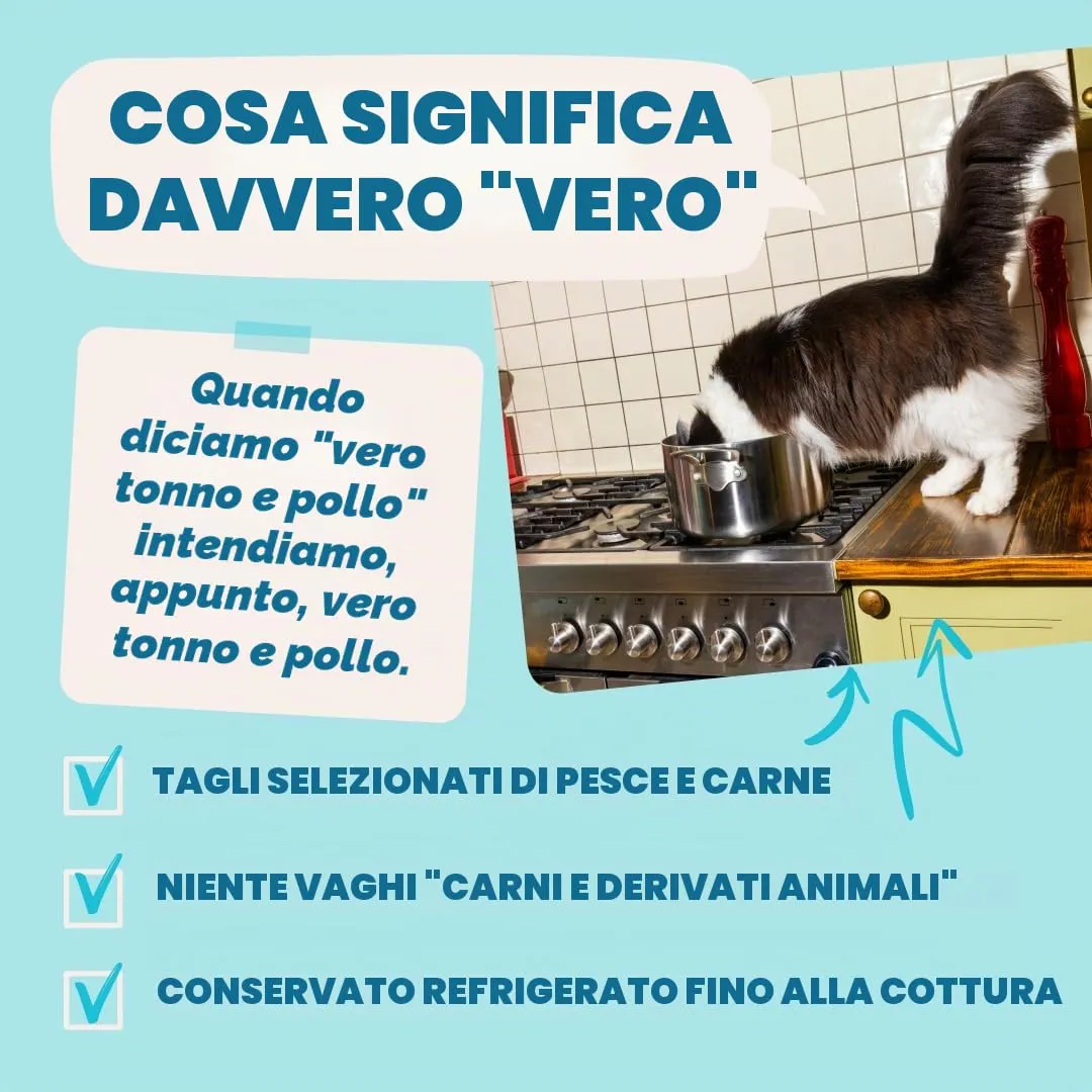 Edgard & Cooper Cibo Umido per Gatti, Tonno e Pollo in salsa, Senza Cereali, per Gatti Sterilizzati (12 x 85g) - immagine 5