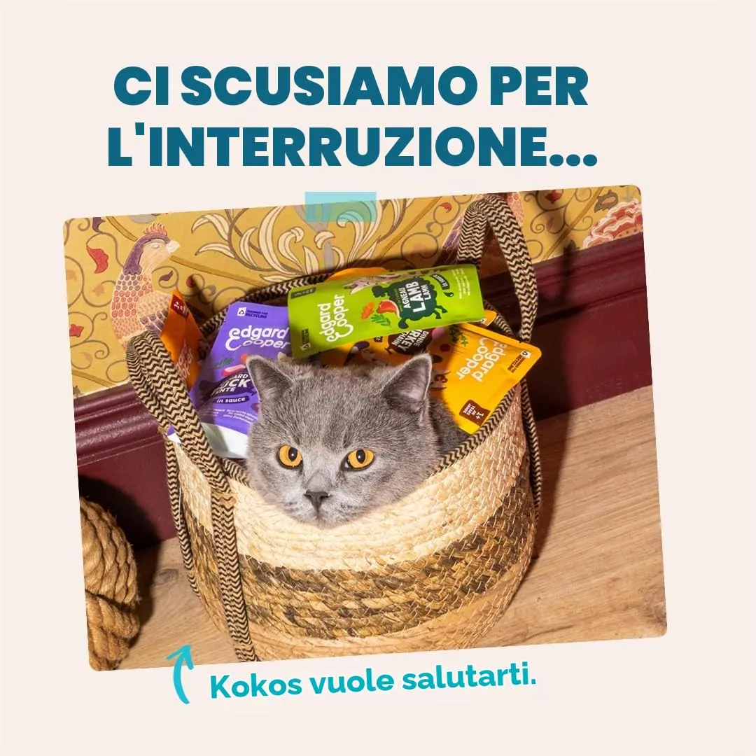 Edgard & Cooper Cibo Umido per Gatti, Tonno e Pollo in salsa, Senza Cereali, per Gatti Sterilizzati (12 x 85g) - immagine 8