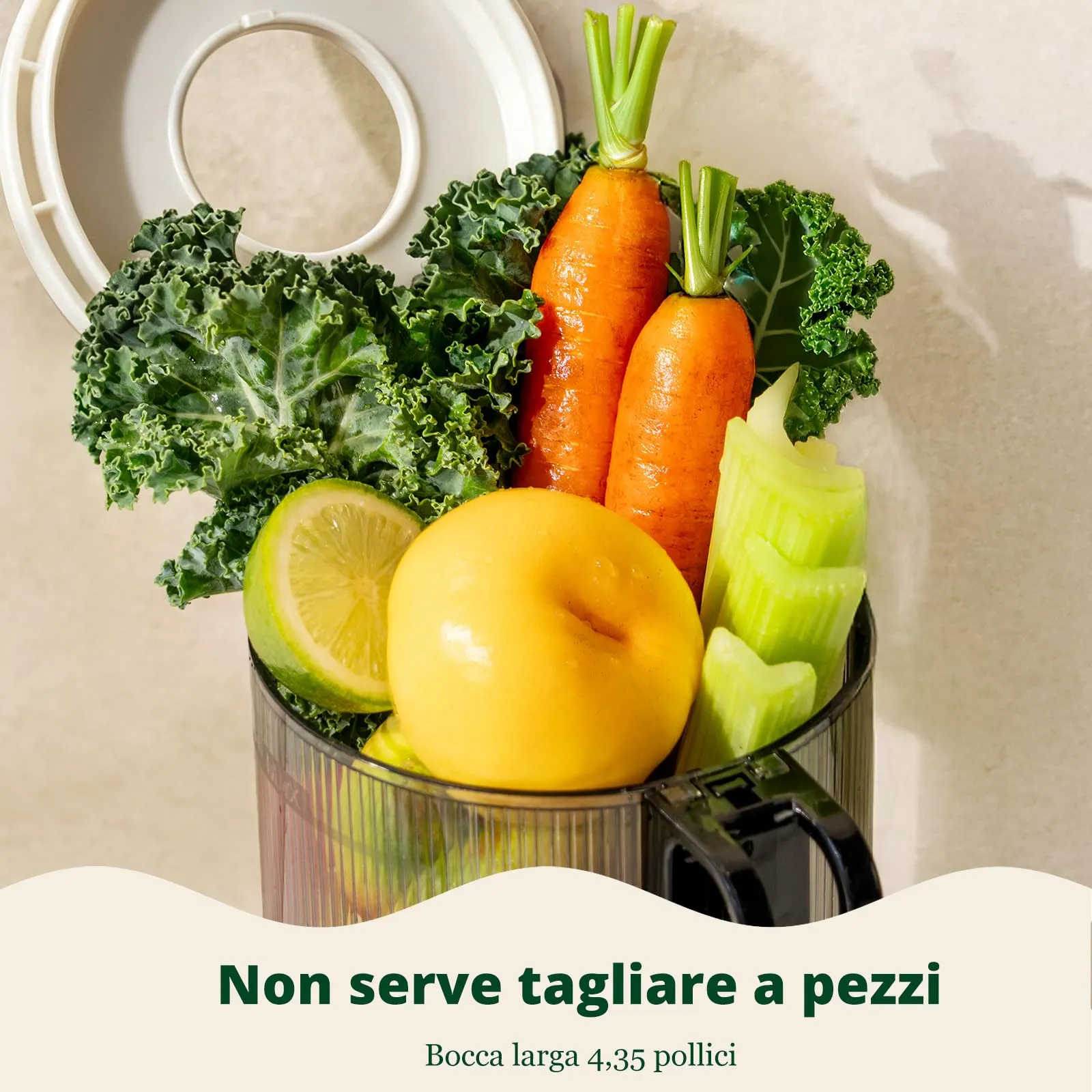 LINKChef Estrattore di succo a freddo, Slow Juicer per frutta e verdura, apertura 115mm, 1.2L, 200W - immagine 4