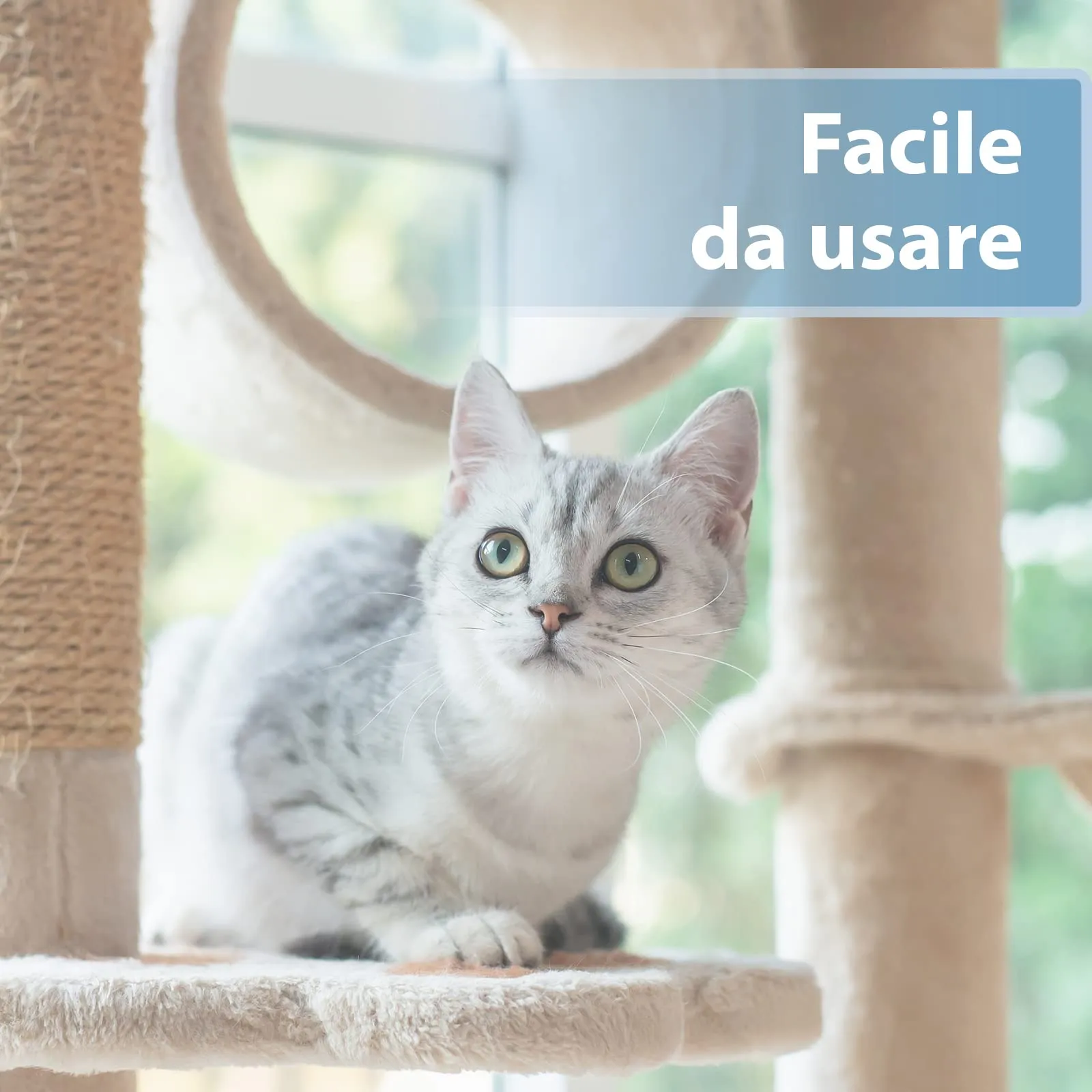 Felisept Salviette da dito per la cura delle orecchie per gatti, 50 pezzi - immagine 3