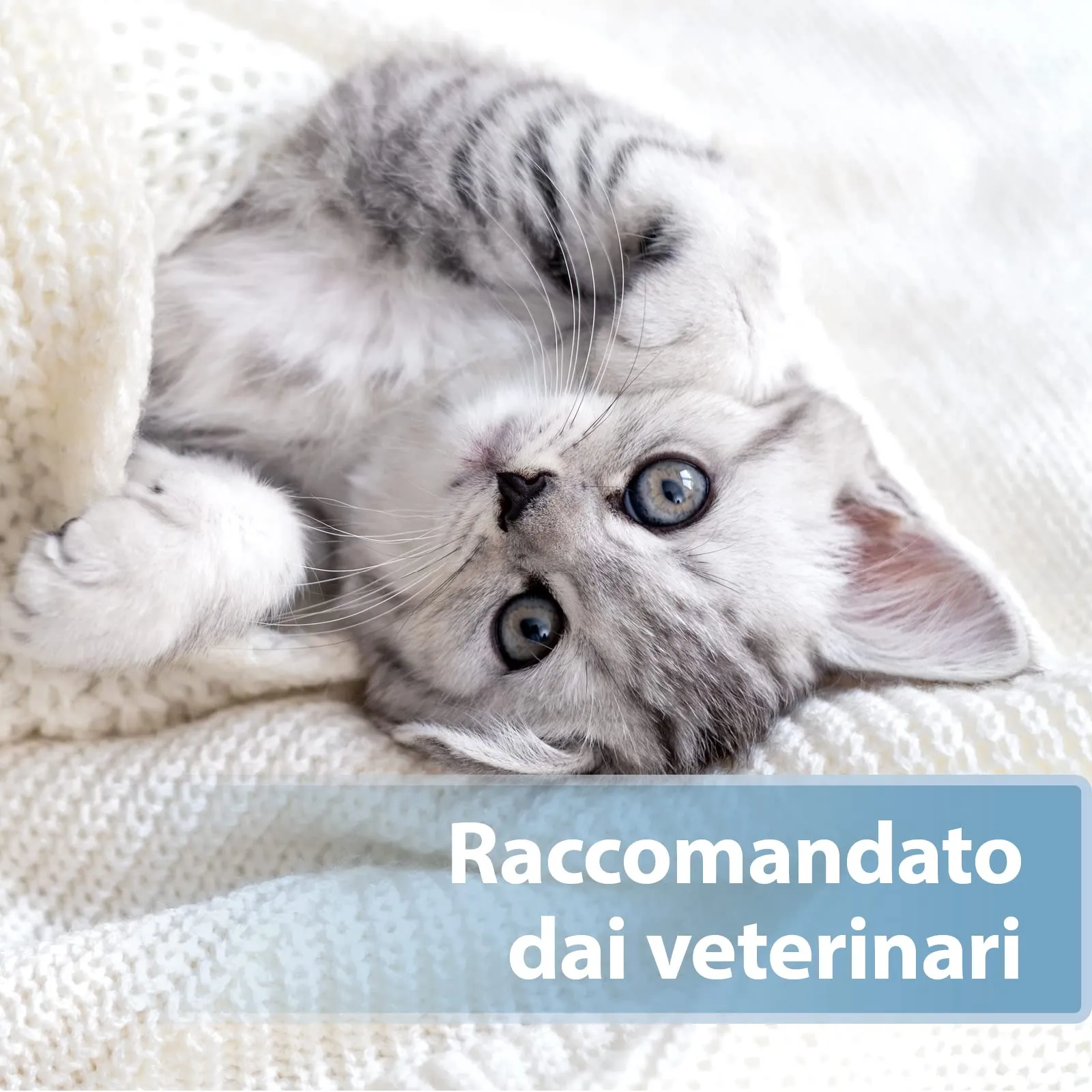 Felisept Salviette da dito per la cura delle orecchie per gatti, 50 pezzi - immagine 5