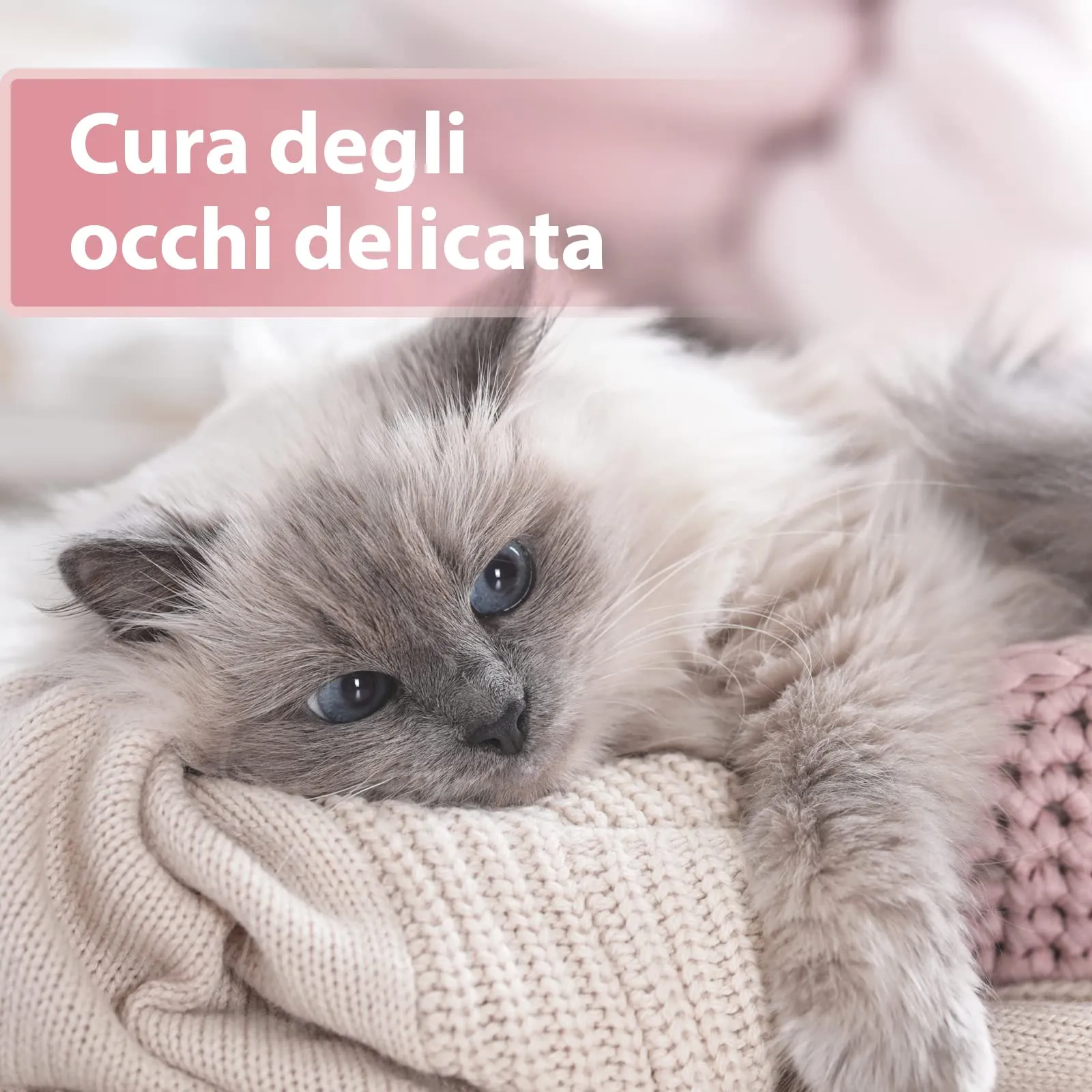 Felisept Dischetti per la cura degli occhi per gatti con Aloe Vera, 100 pezzi - immagine 2