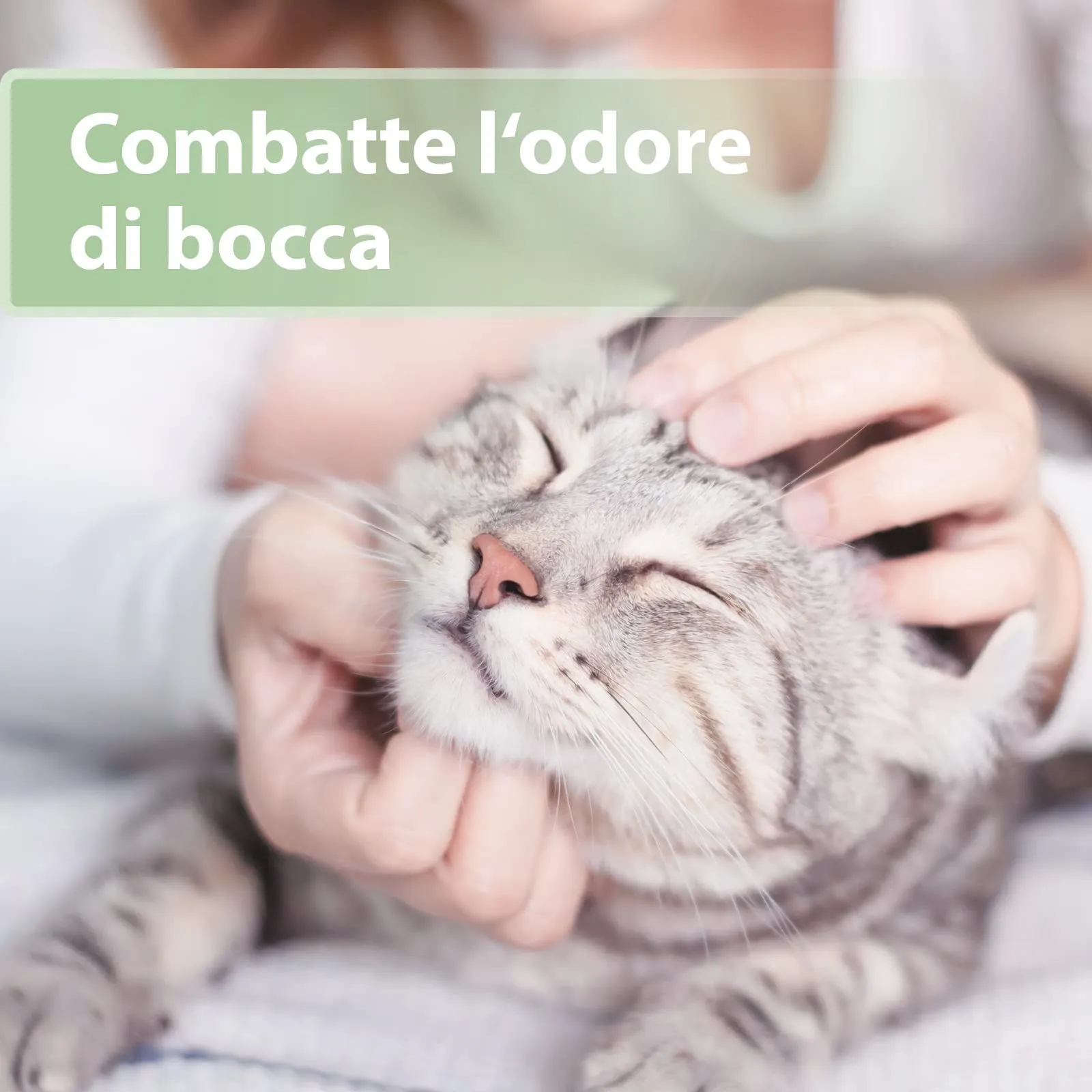 Felisept Salviette Da Dito Per La Cura Dei Denti Per Gatti, 50 Pezzi - immagine 2