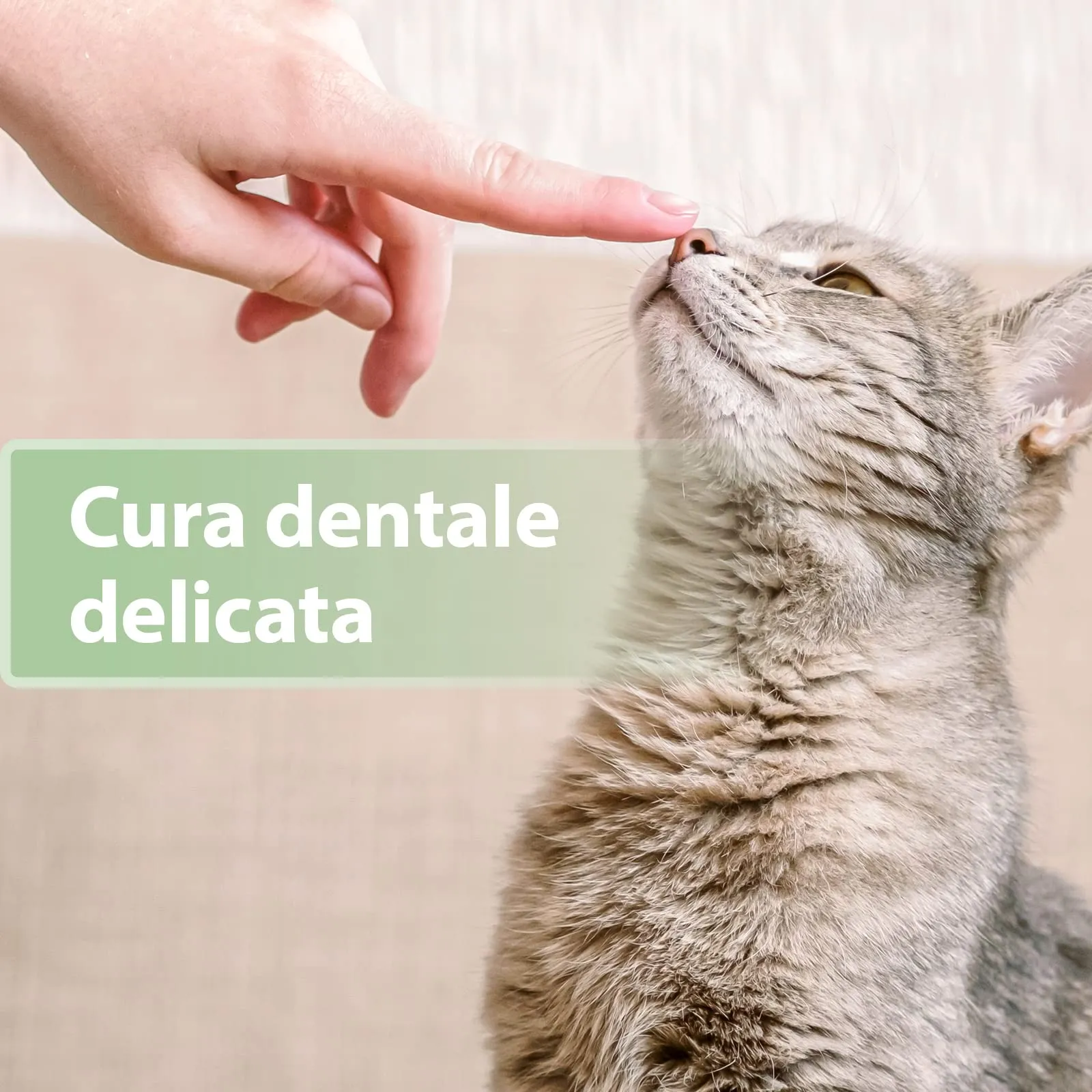 Felisept Salviette Da Dito Per La Cura Dei Denti Per Gatti, 50 Pezzi - immagine 4