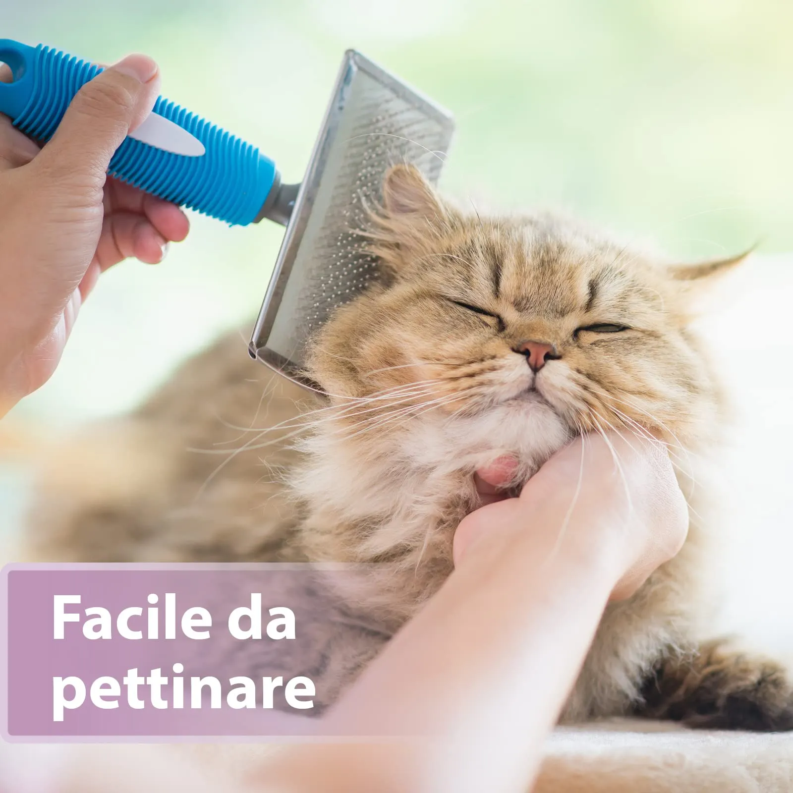 Felisept Cura della pelliccia spray per gatti 250ml - immagine 3