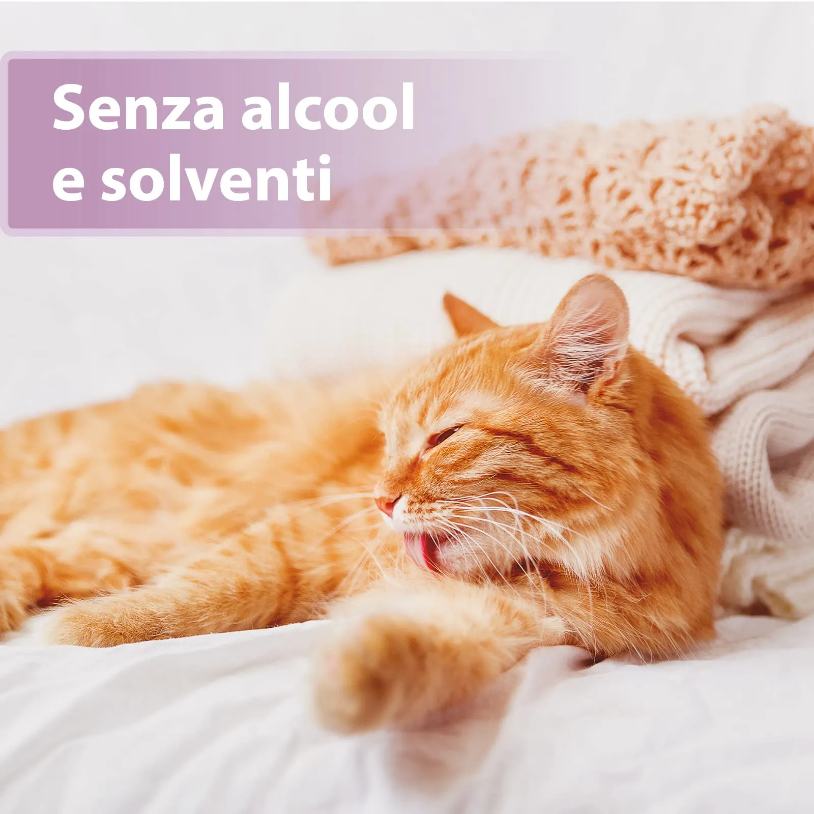 Felisept Cura della pelliccia spray per gatti 250ml - immagine 5