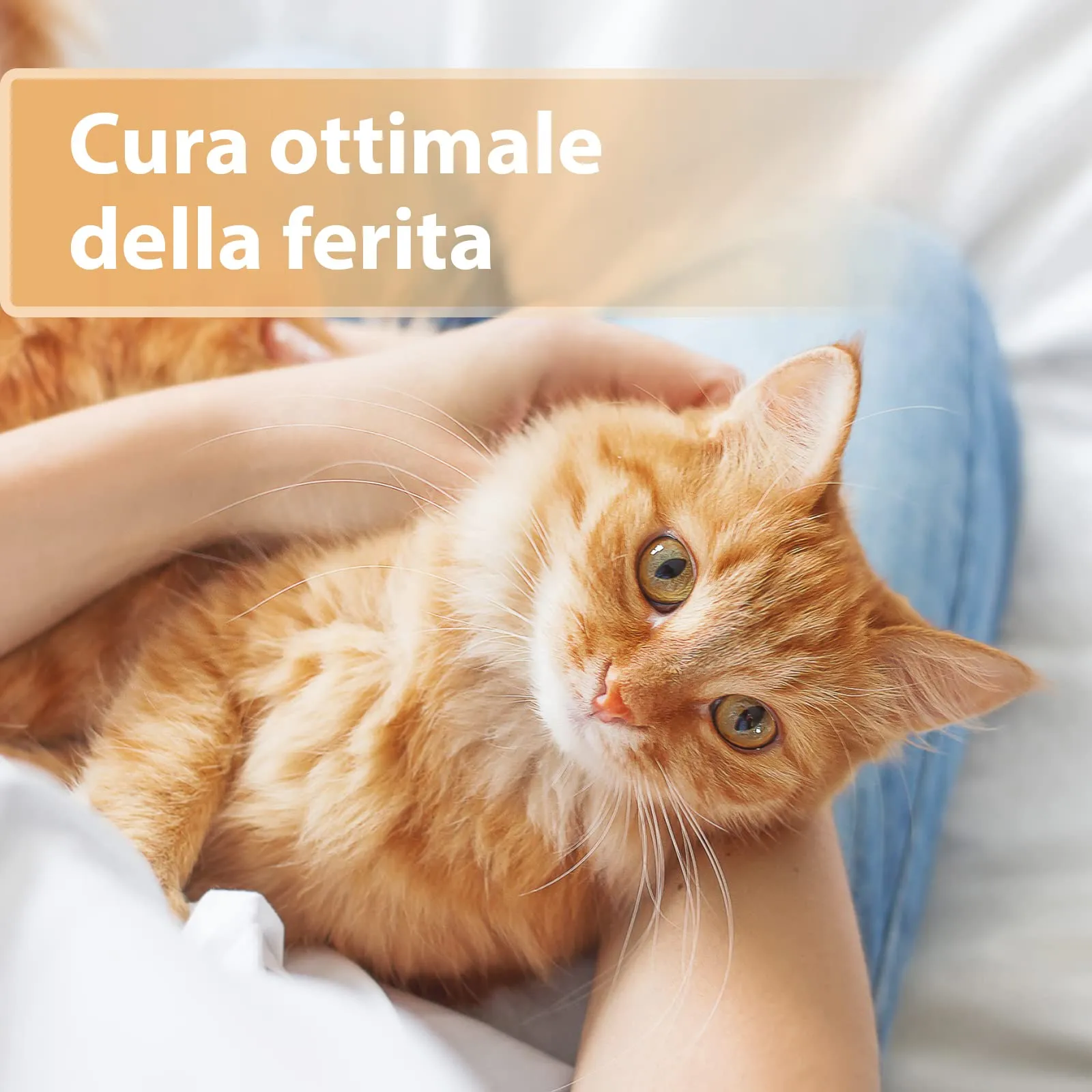 Felisept Gel per ferite per gatti 20ml - immagine 2