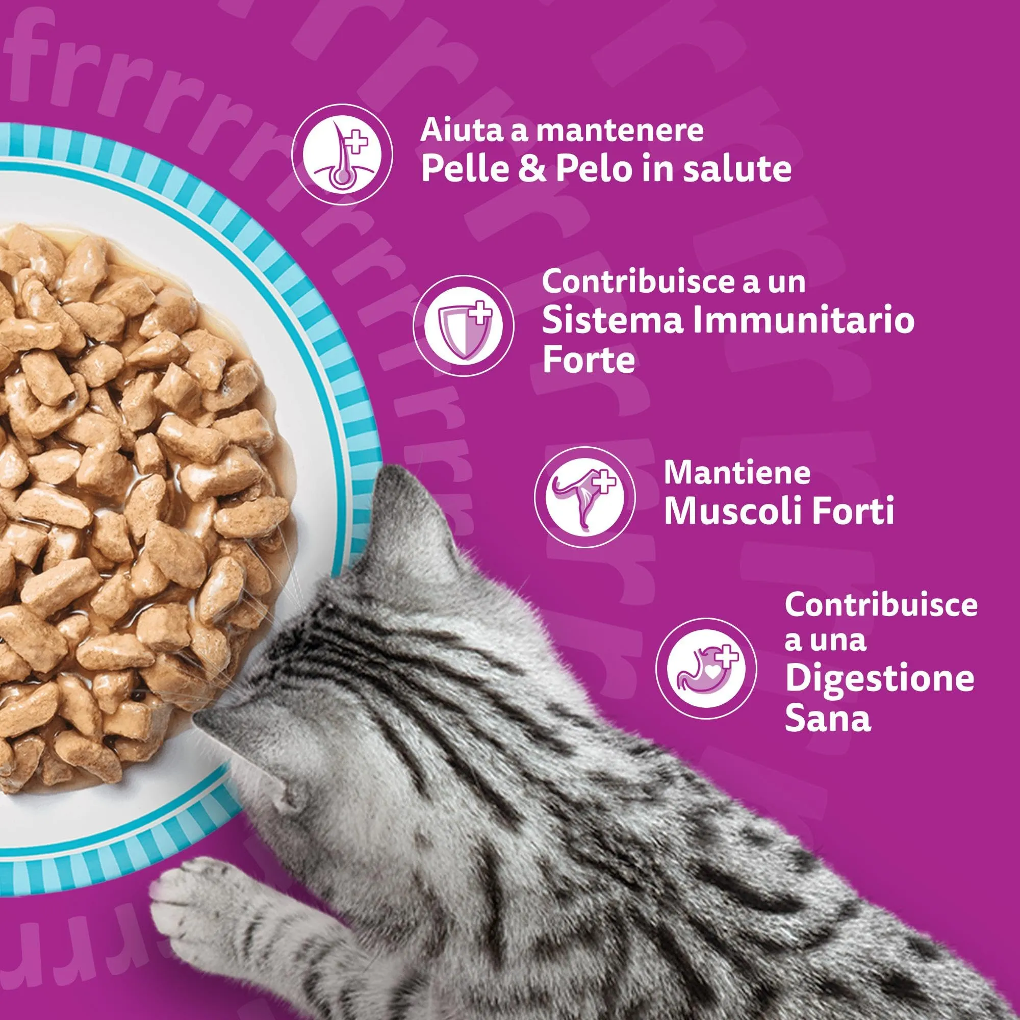 Whiskas Pranzetti Selezione di Pesce Adulto 1+, Cibo Umido per Gatto, 72 x 50g - immagine 5