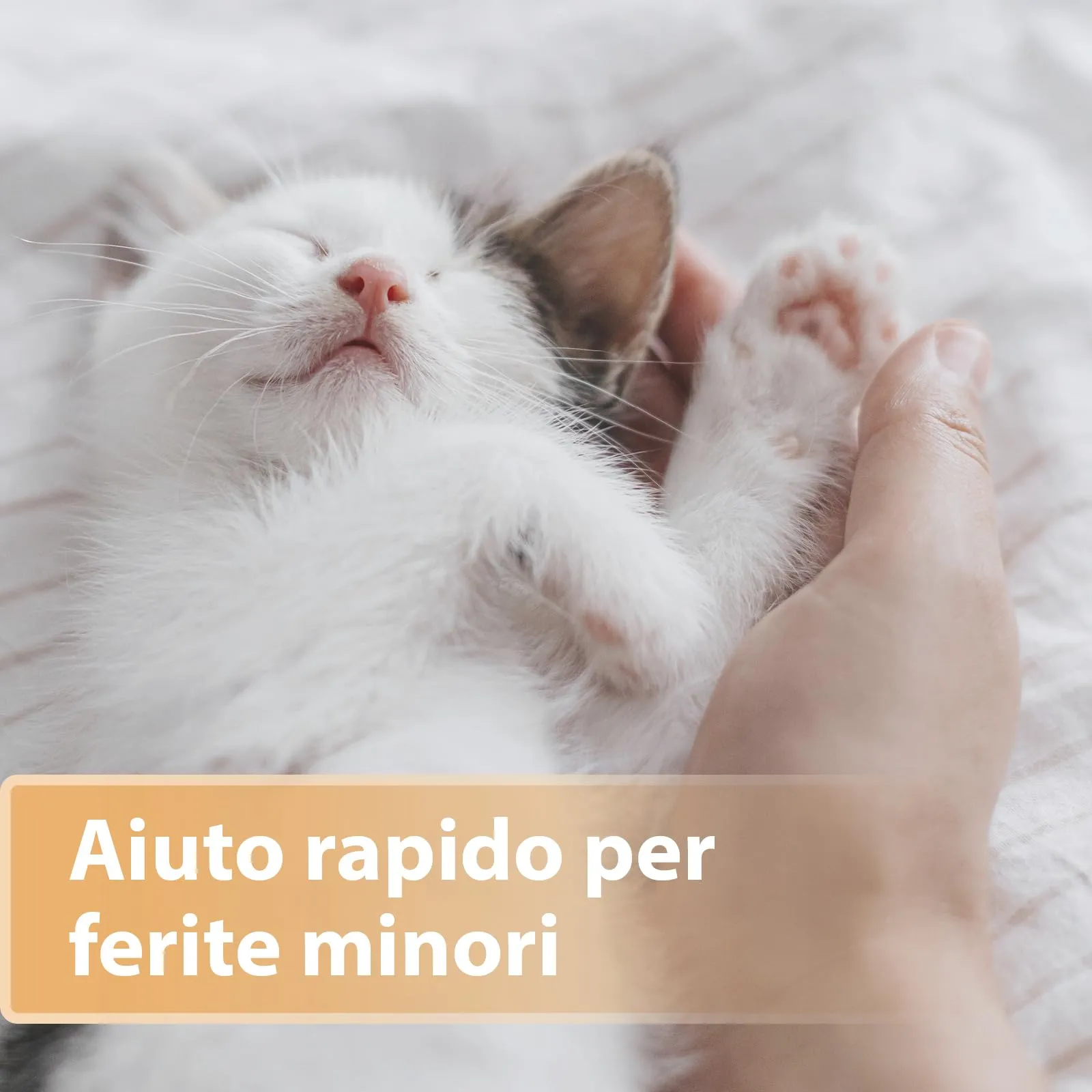 Felisept Spray per ferite per gatti 75ml - immagine 2