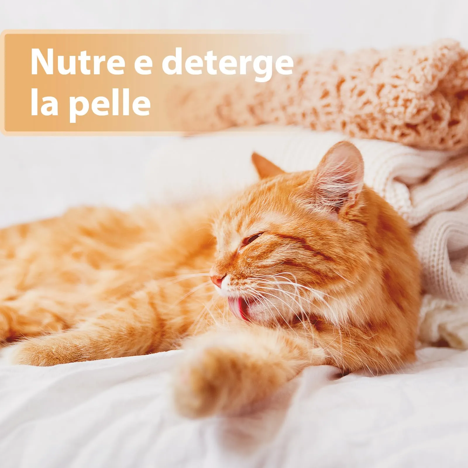 Felisept Spray per ferite per gatti 75ml - immagine 3