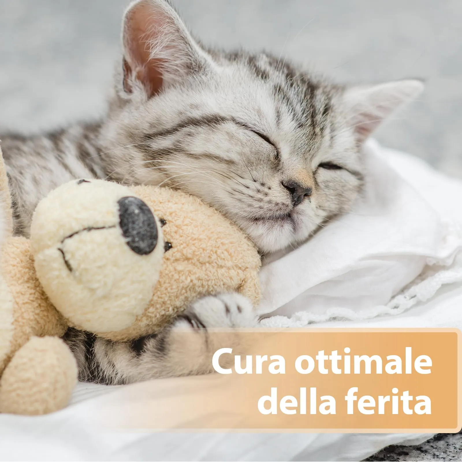 Felisept Spray per ferite per gatti 75ml - immagine 5