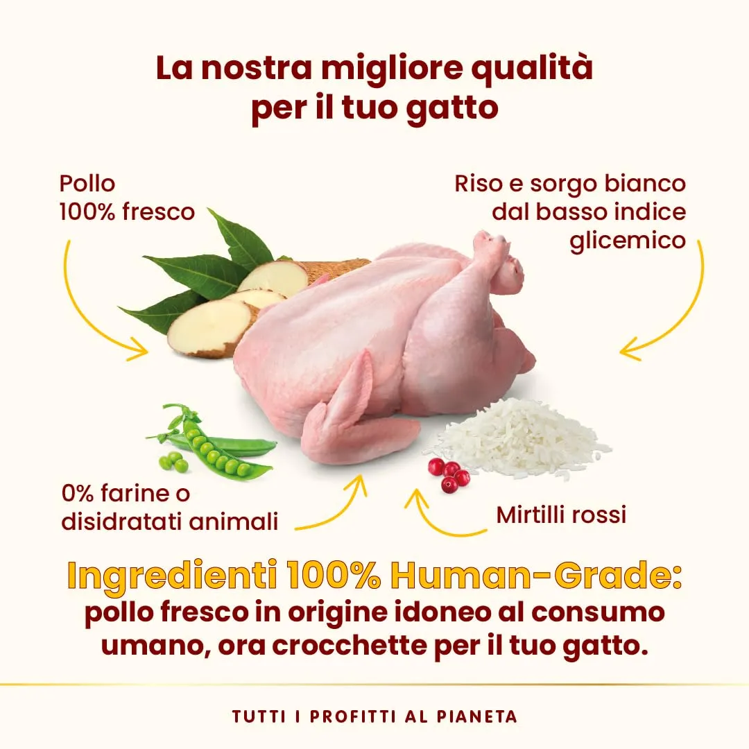 Almo Nature HFC Our Best Sterilised Cat Food - Fresh Chicken - Monoprotein, Urinary Help, Gluten Free - 1.2kg - immagine 4
